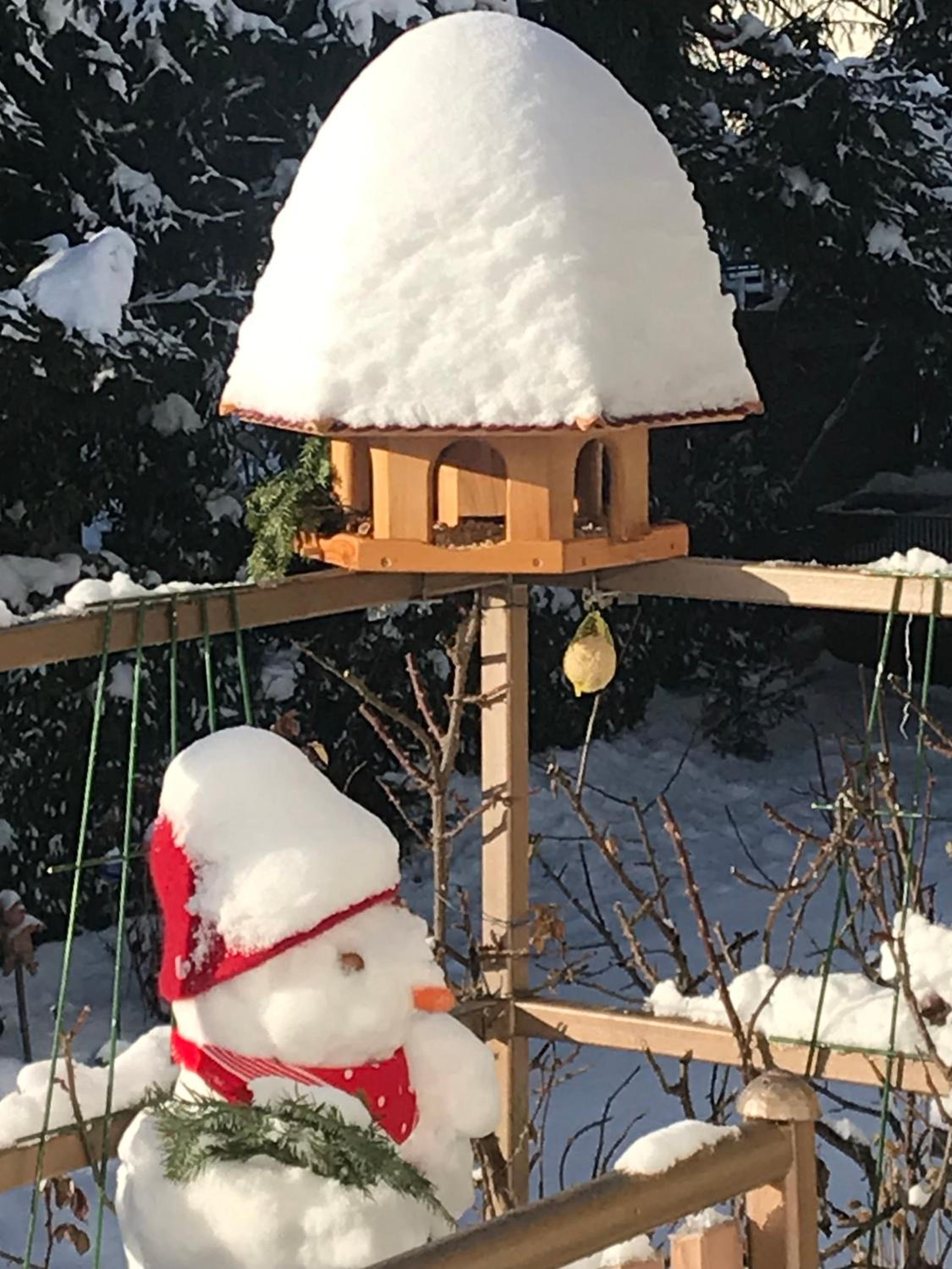 Ferienhaus Haas inkl. Chiemgaukarte