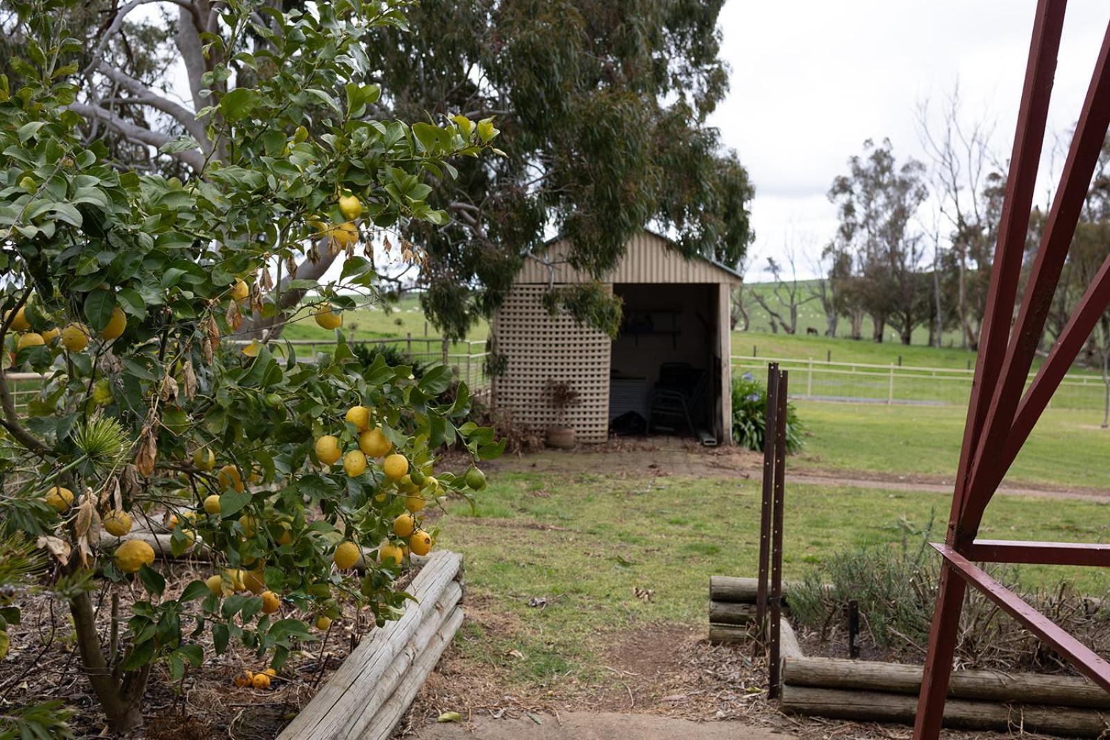 Linden Cottage Farm Stay