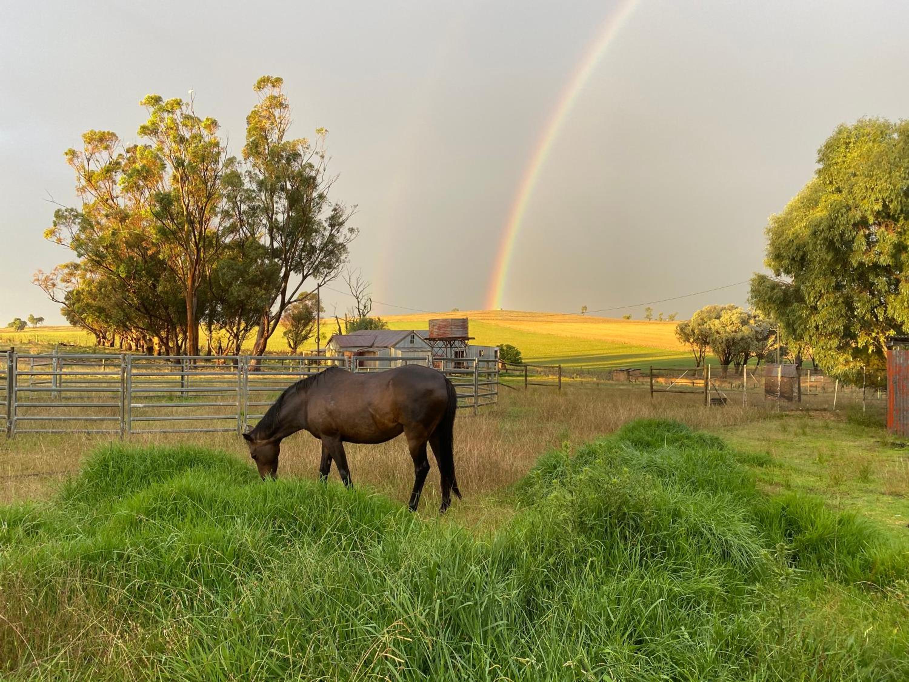 Linden Cottage Farm Stay