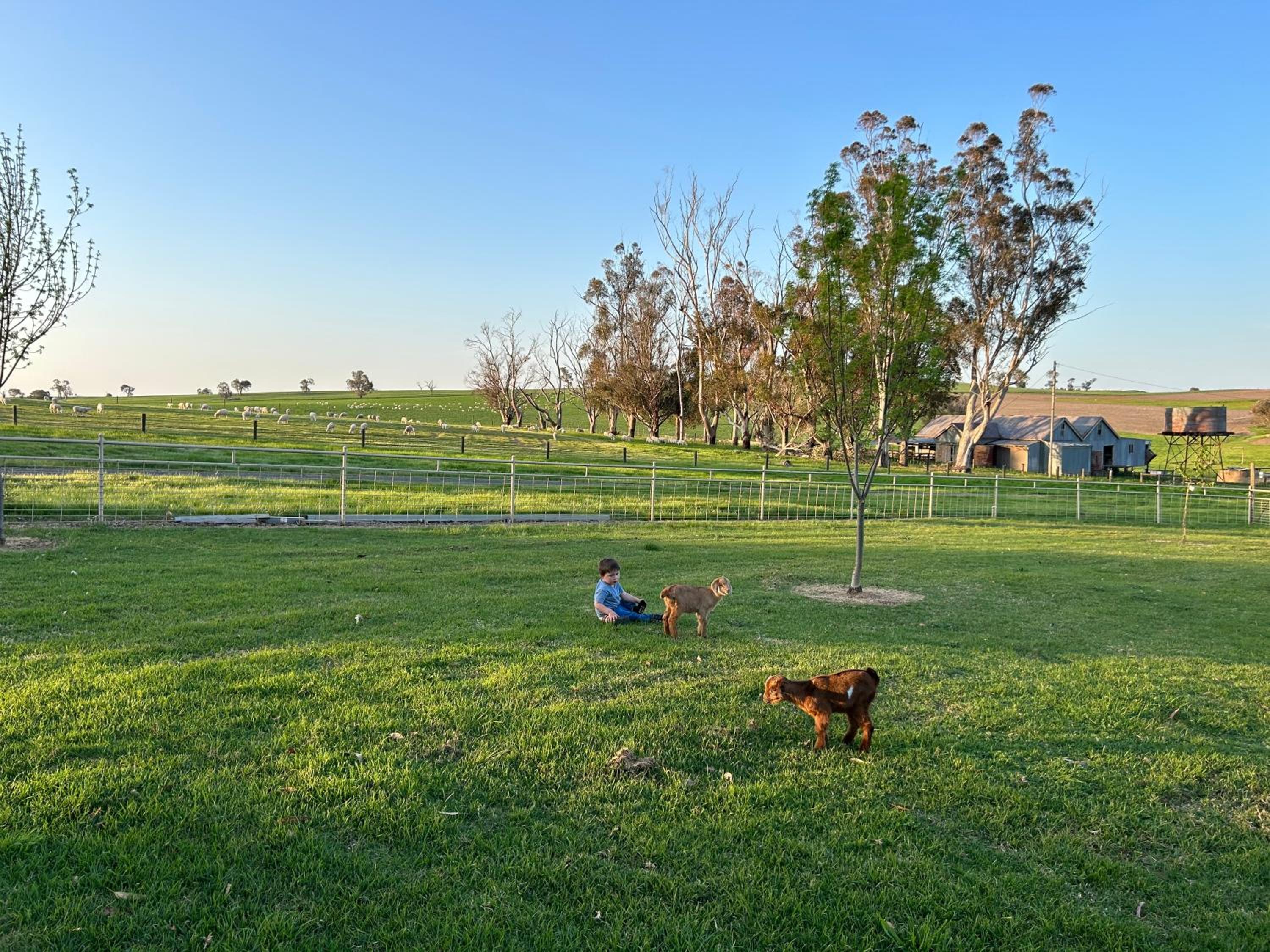 Linden Cottage Farm Stay