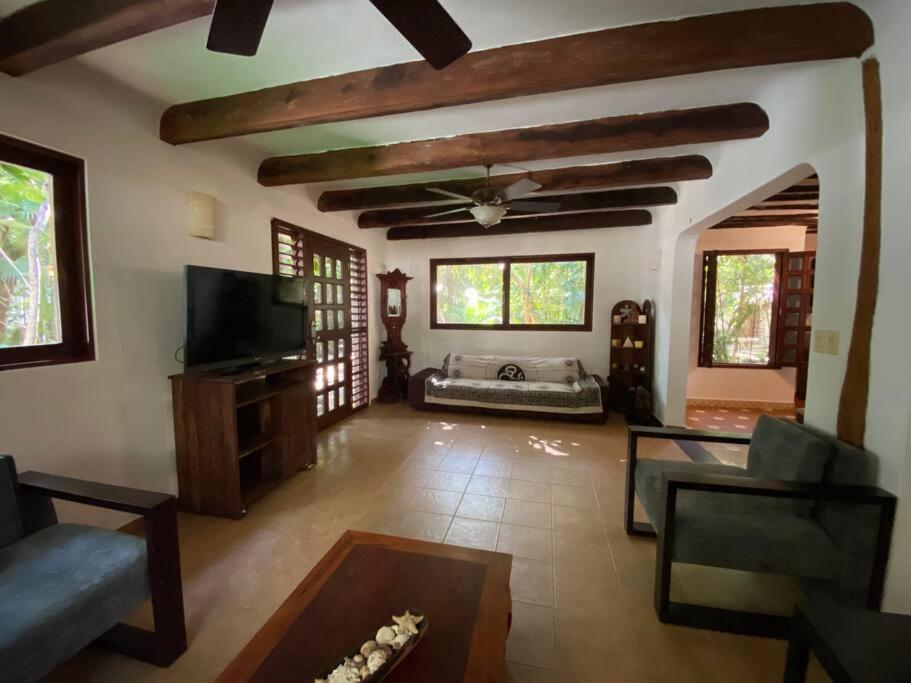 Jungle Oasis by the Beach: Casa Selva on 38th Street view 3