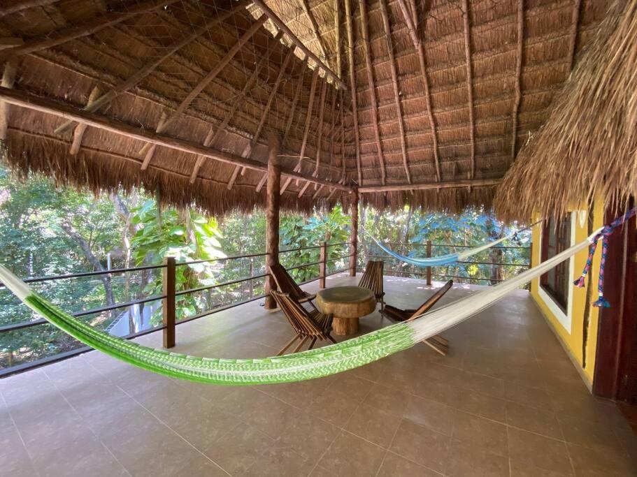 Jungle Oasis by the Beach: Casa Selva on 38th Street view 5