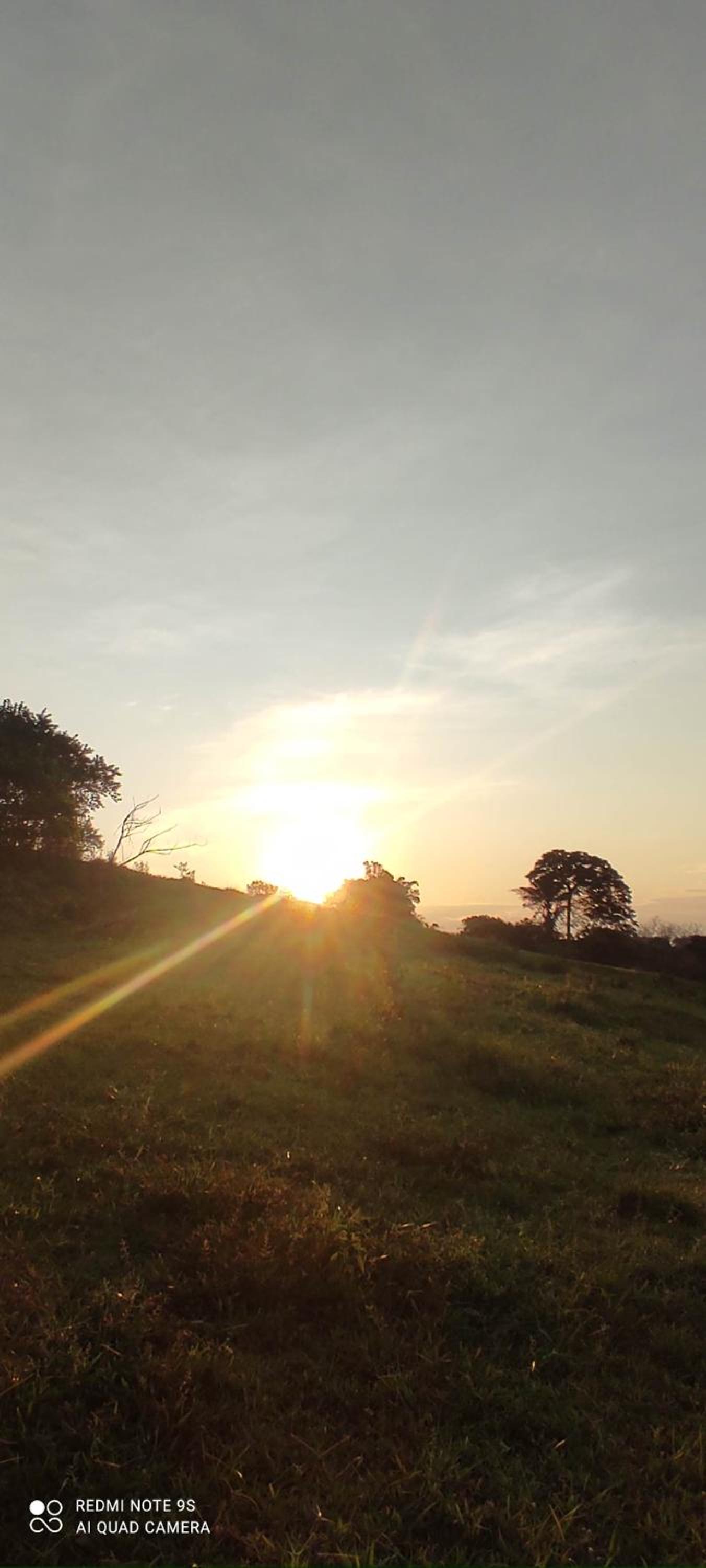 MIRADOR NARIGUA