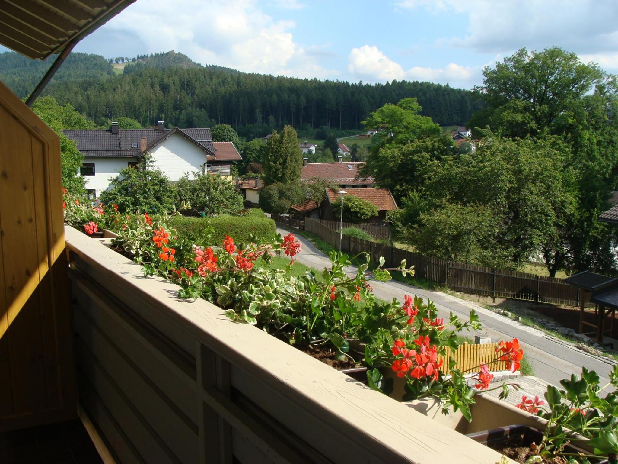 Drei Tannen