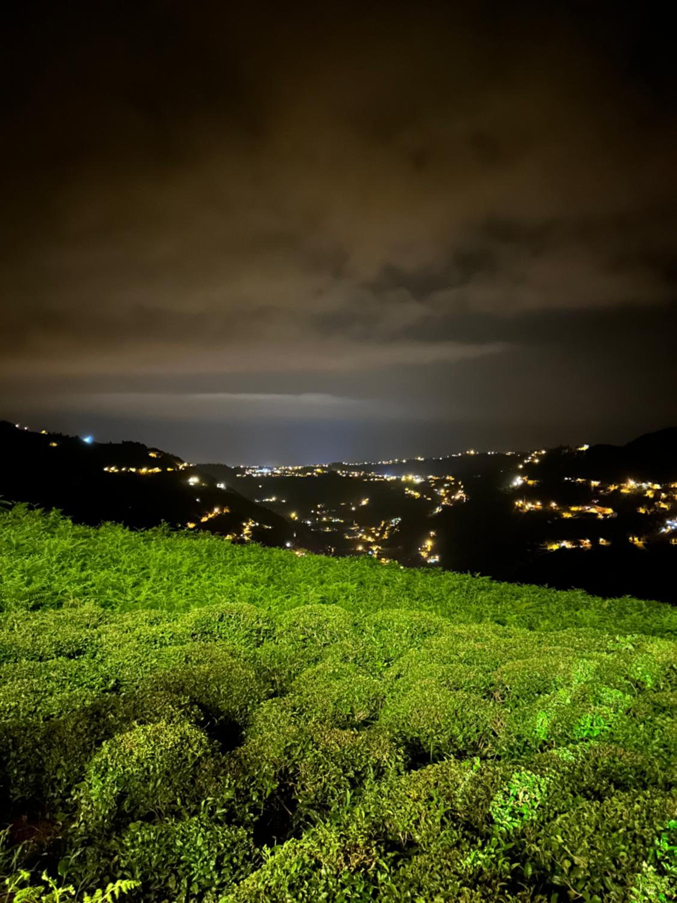 Kalivi Suit Bungalov view 3