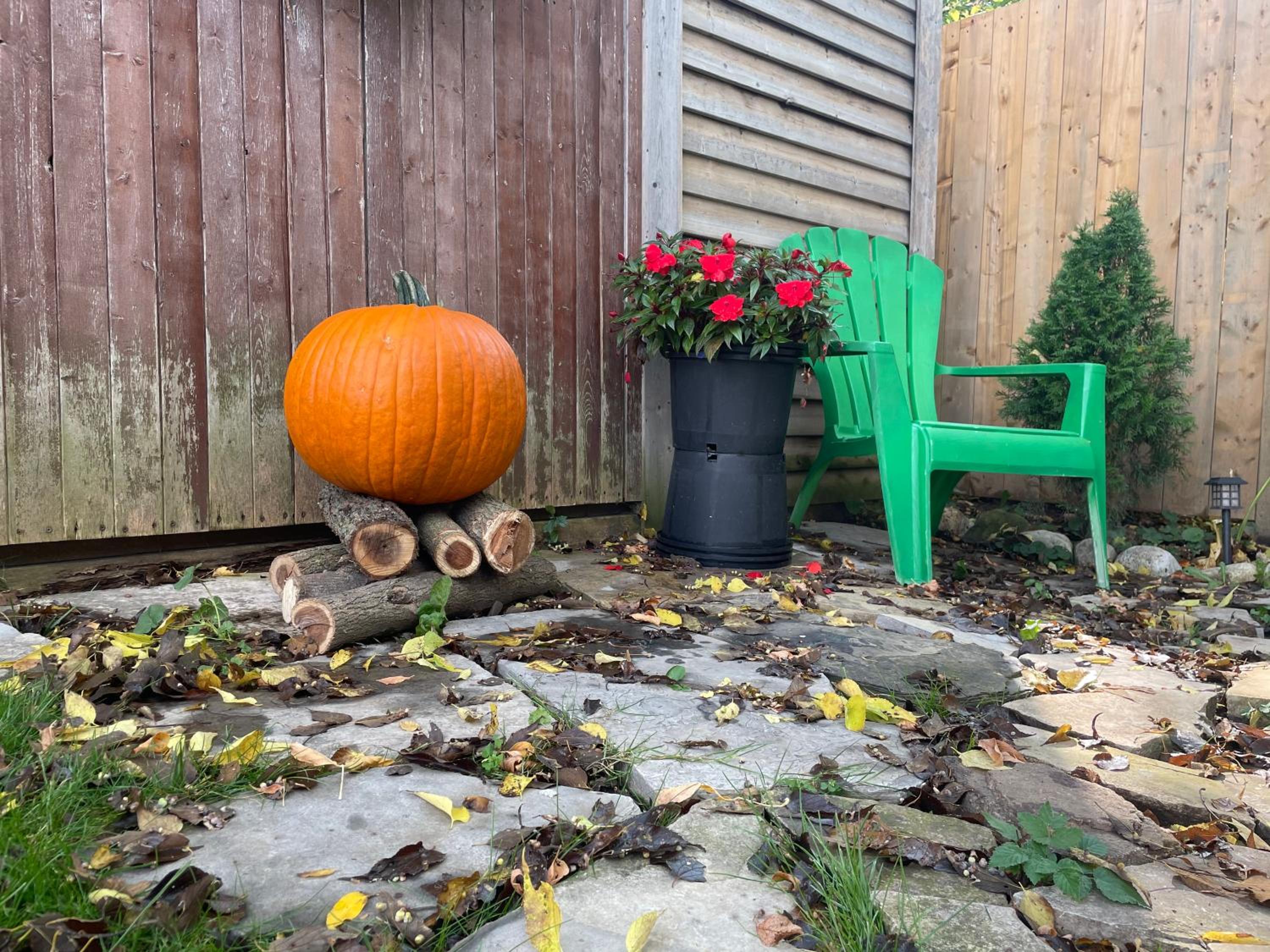 Kitchener Vacations - Cozy Cottage Style House - Property Image 12