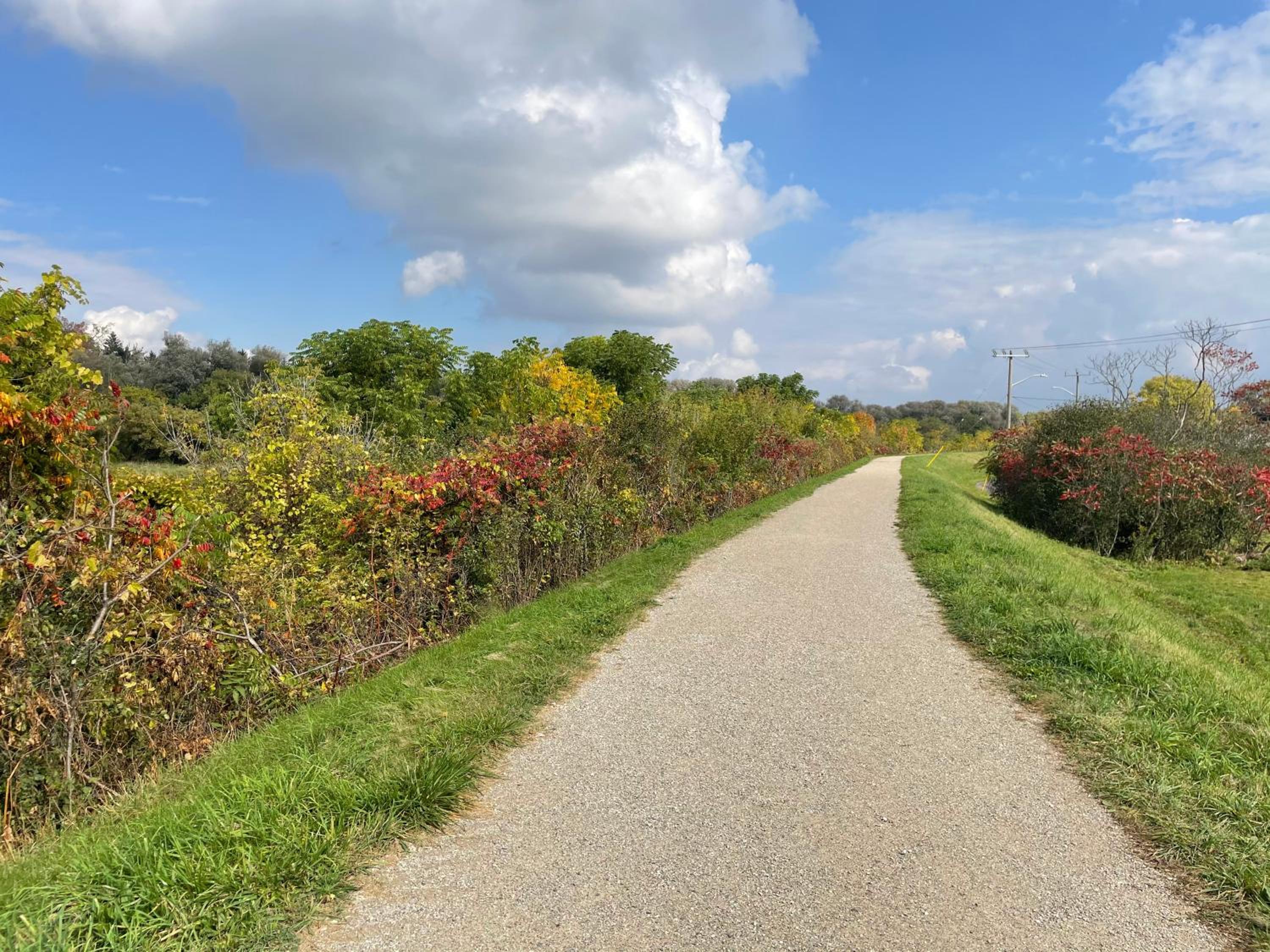 Kitchener Vacations - Cozy Cottage Style House - Property Image 7