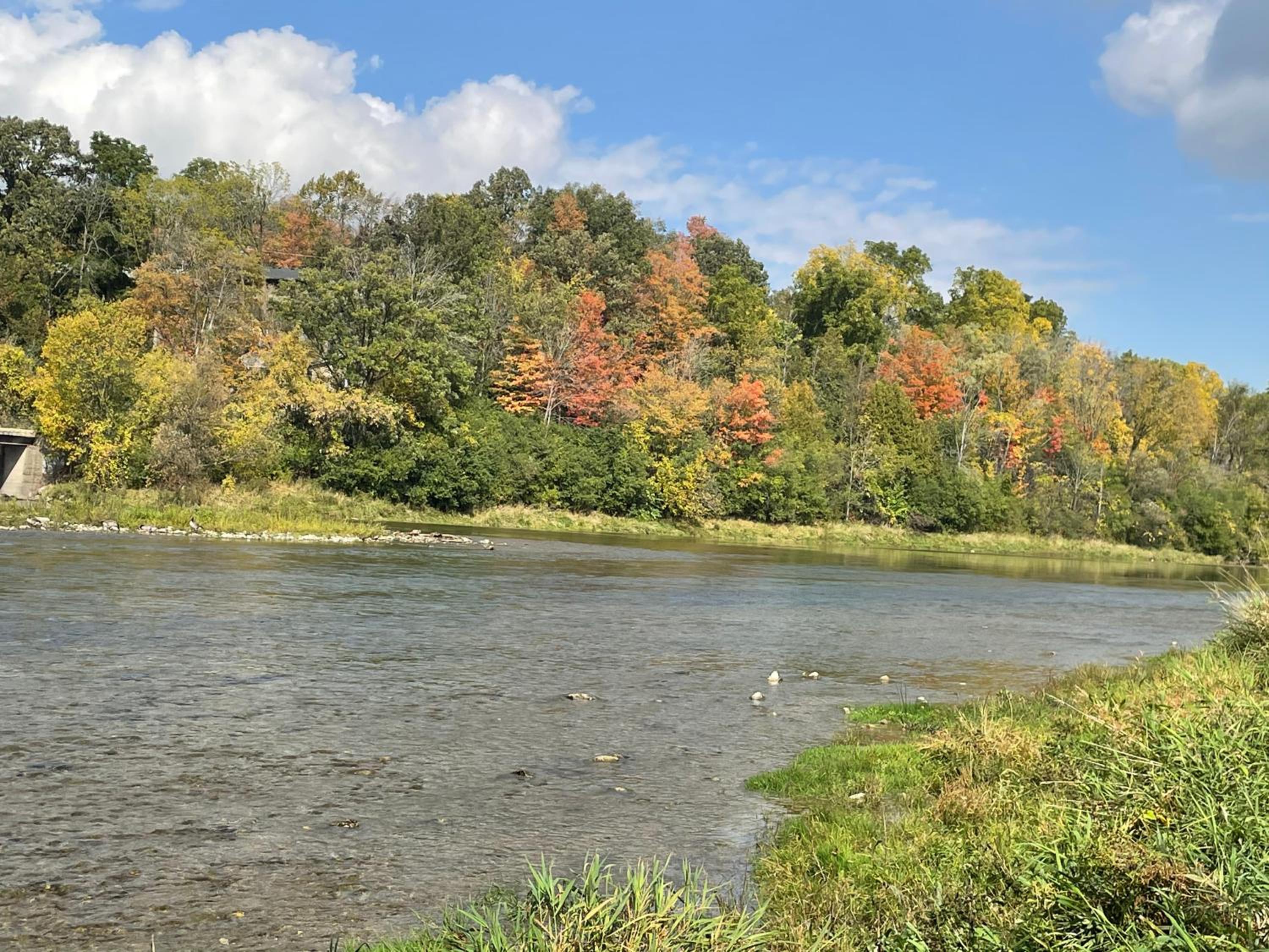 Kitchener Vacations - Cozy Cottage Style House - Property Image 8