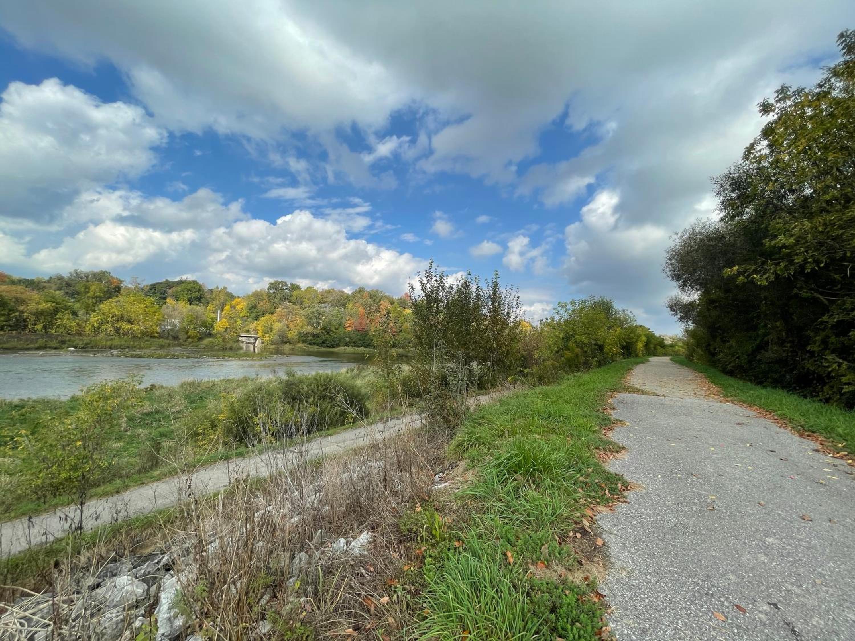 Kitchener Vacations - Cozy Cottage Style House - Property Image 10