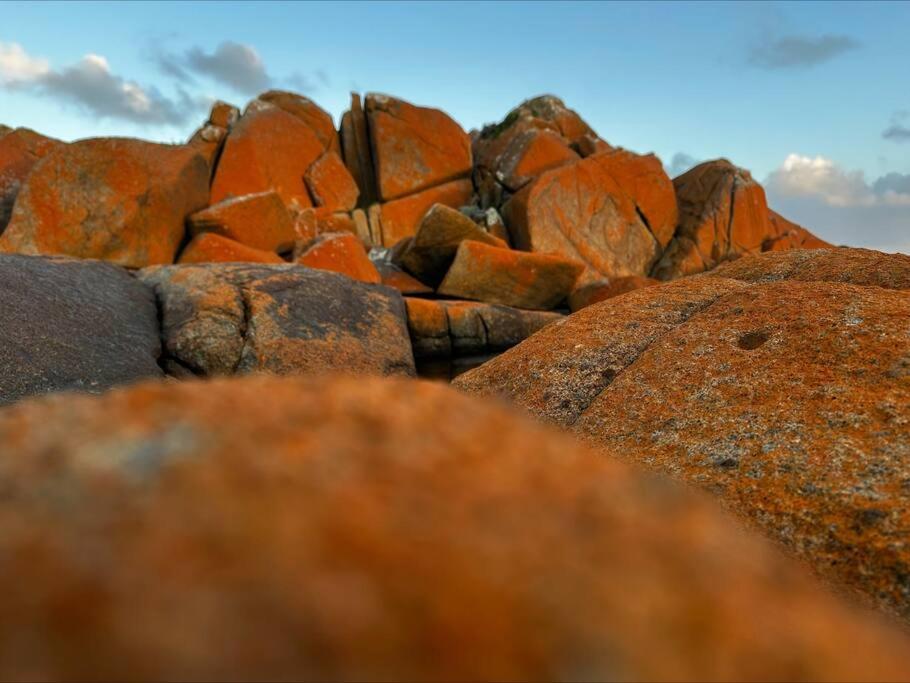 Red Rock Hut, King Island