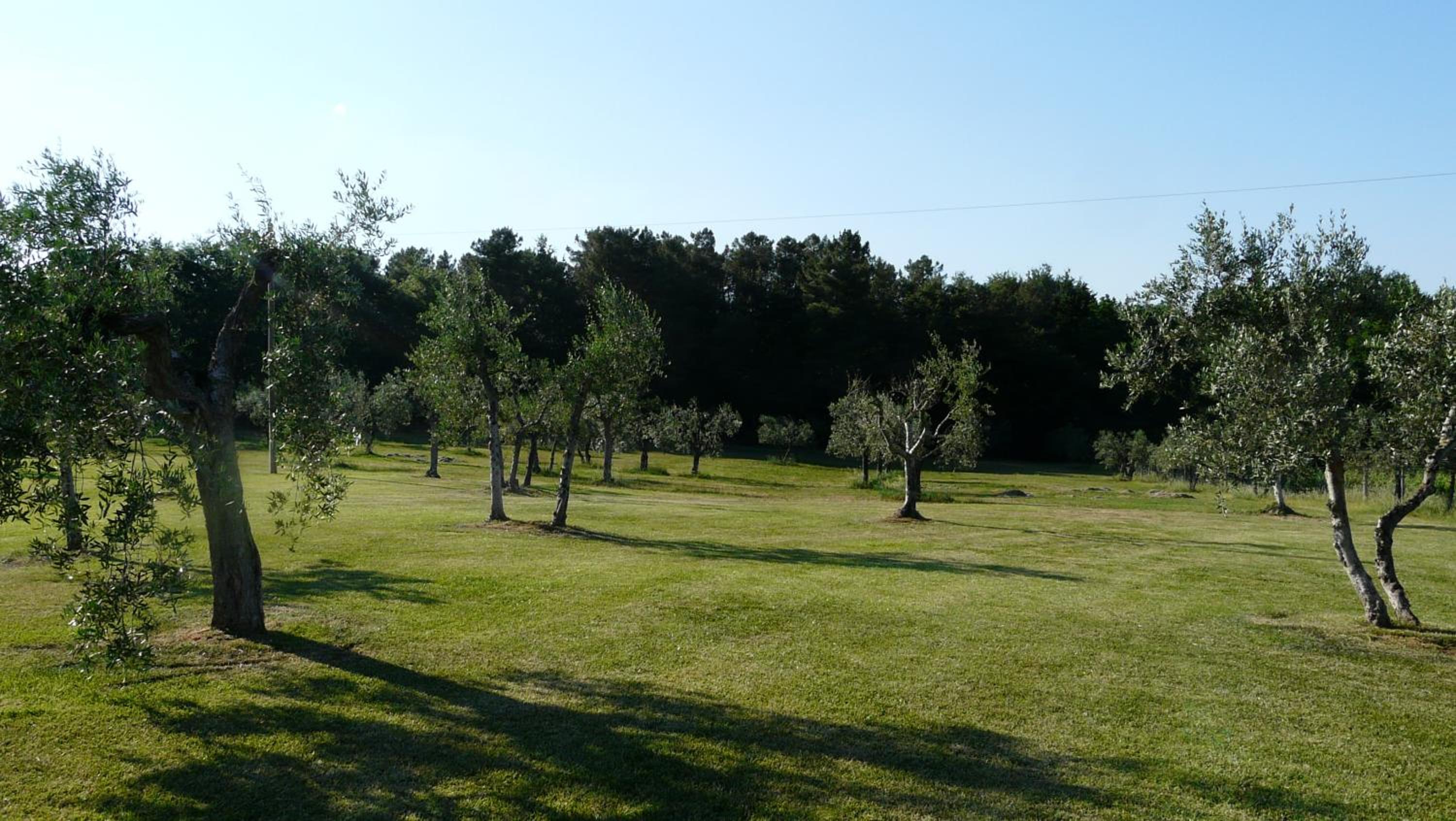 Villa Pian De Noci - Tenuta del Palagio