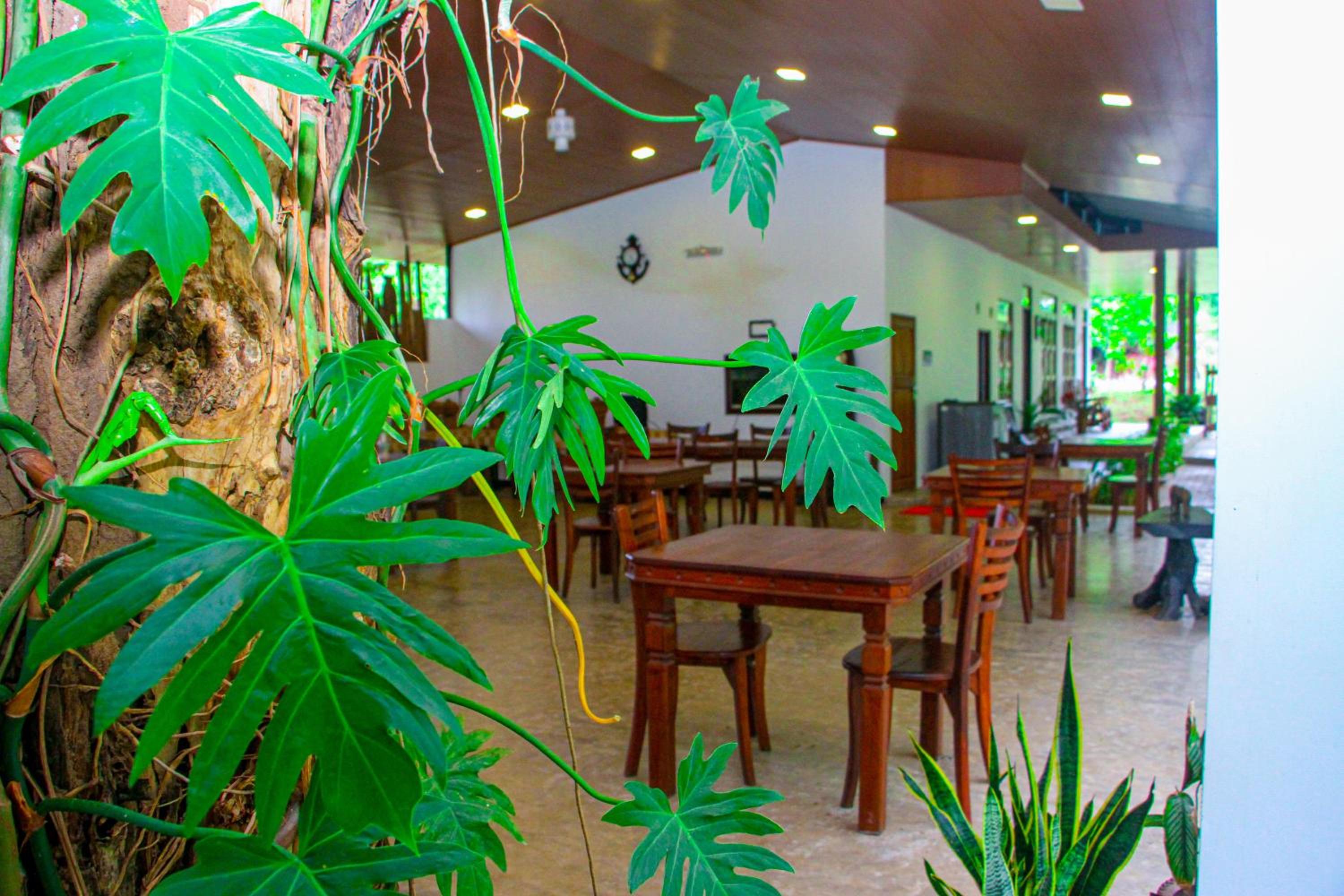 Sigiri Nisala Villa