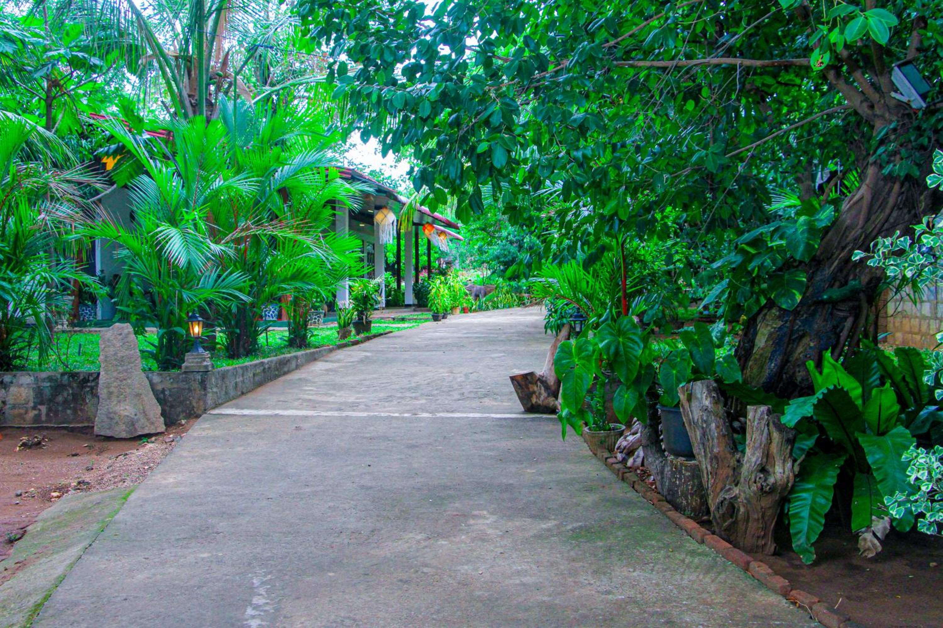 Sigiri Nisala Villa