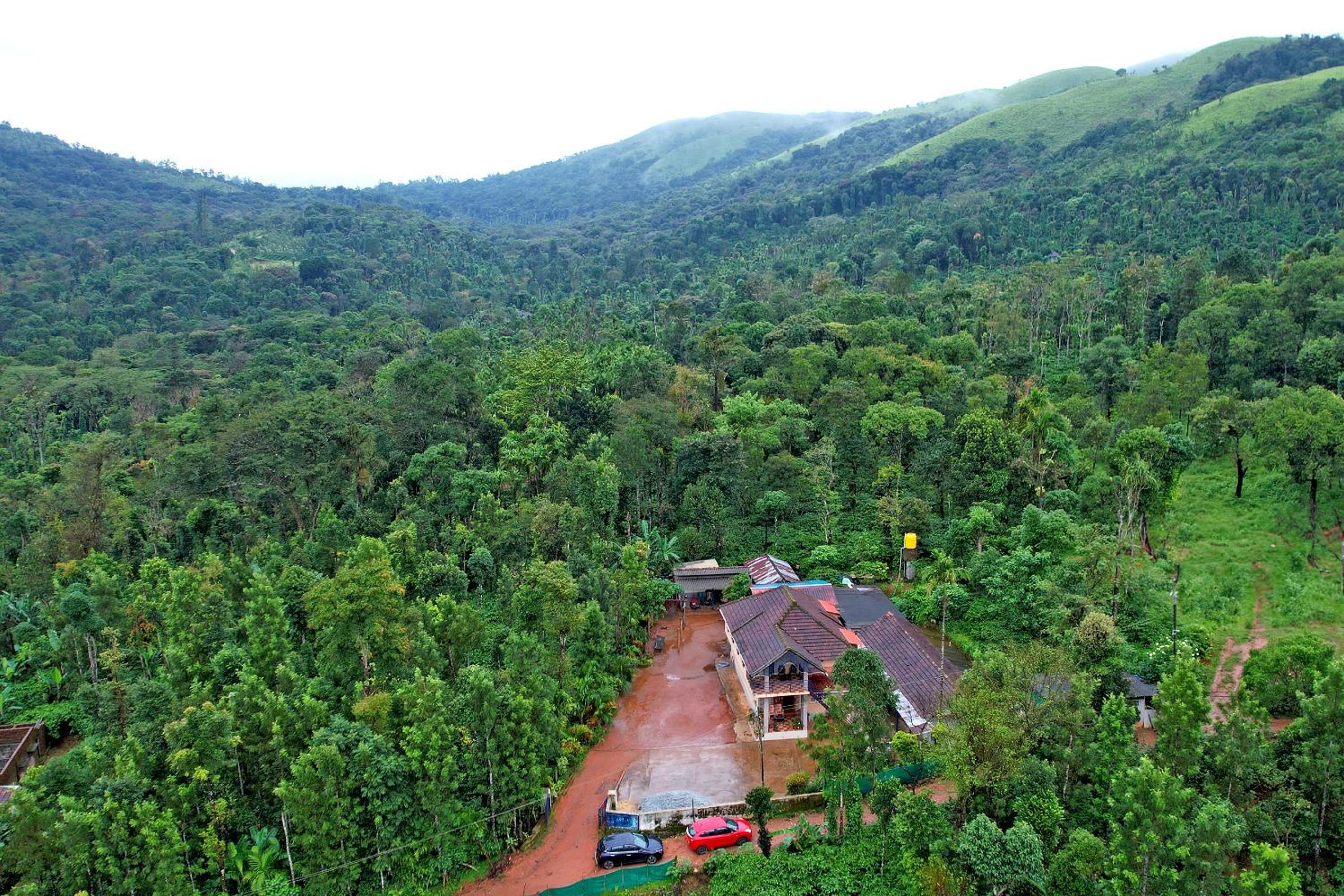 Karadikallu Homestay - Private Waterfalls, Hill Top, Home Food view 2
