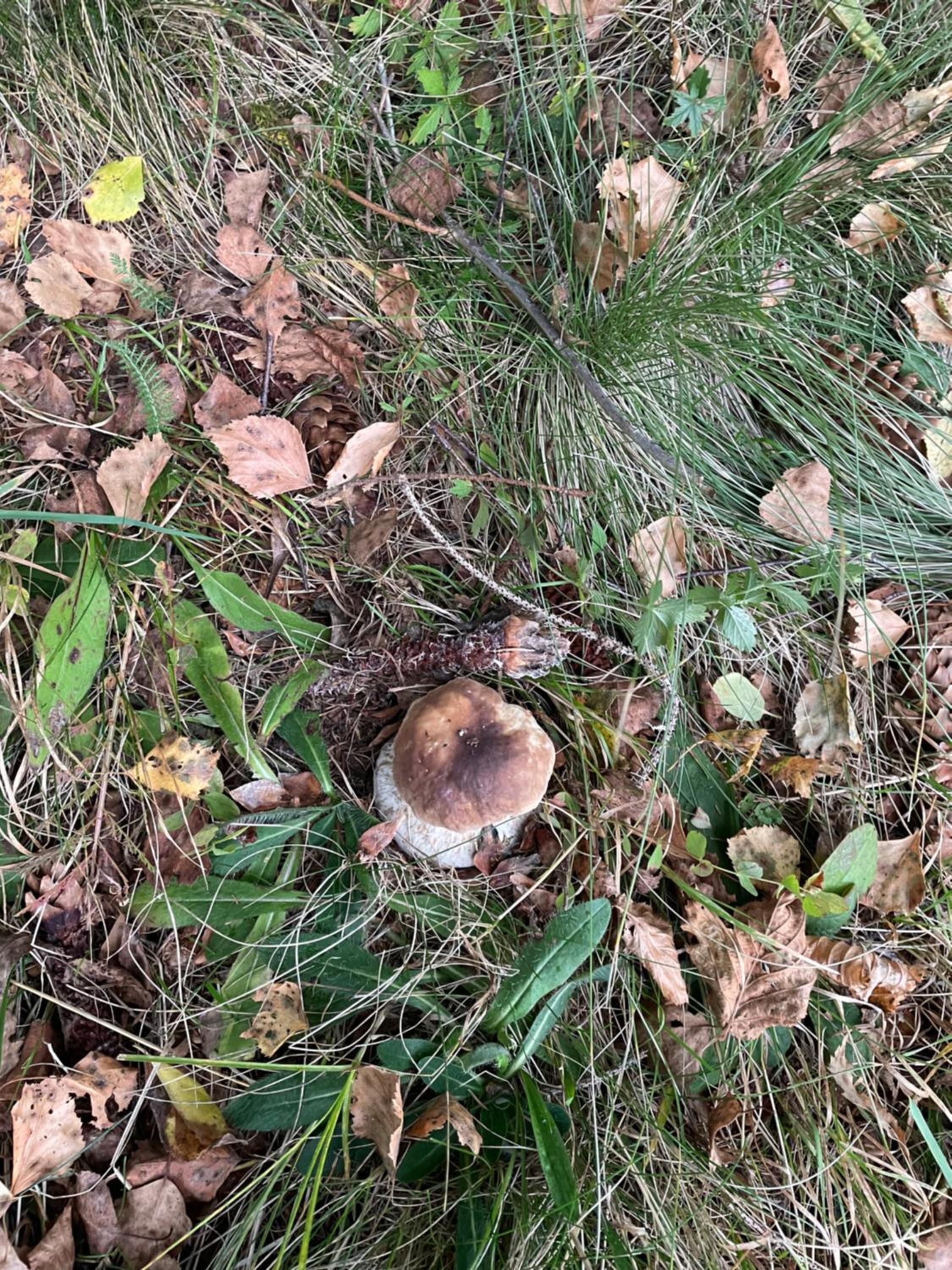 Photo 19