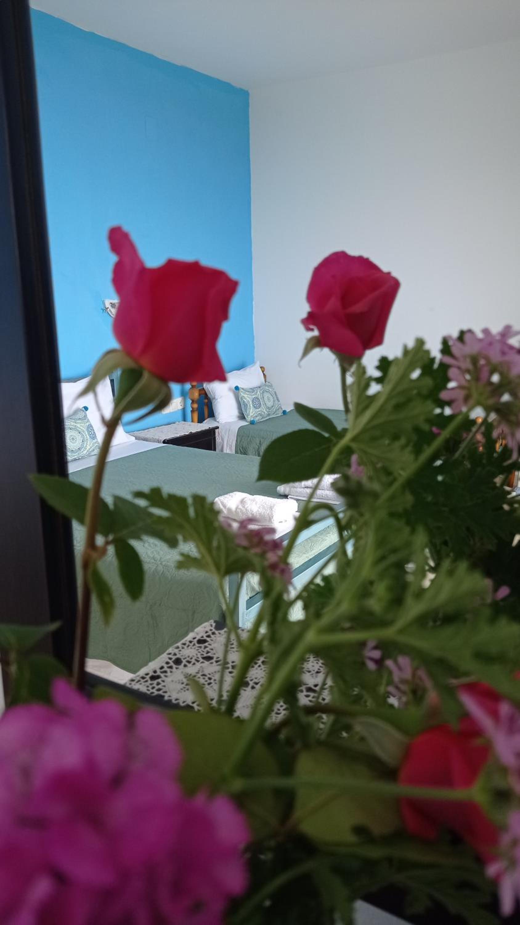 Lirim Shenmiter Lukove photo 2