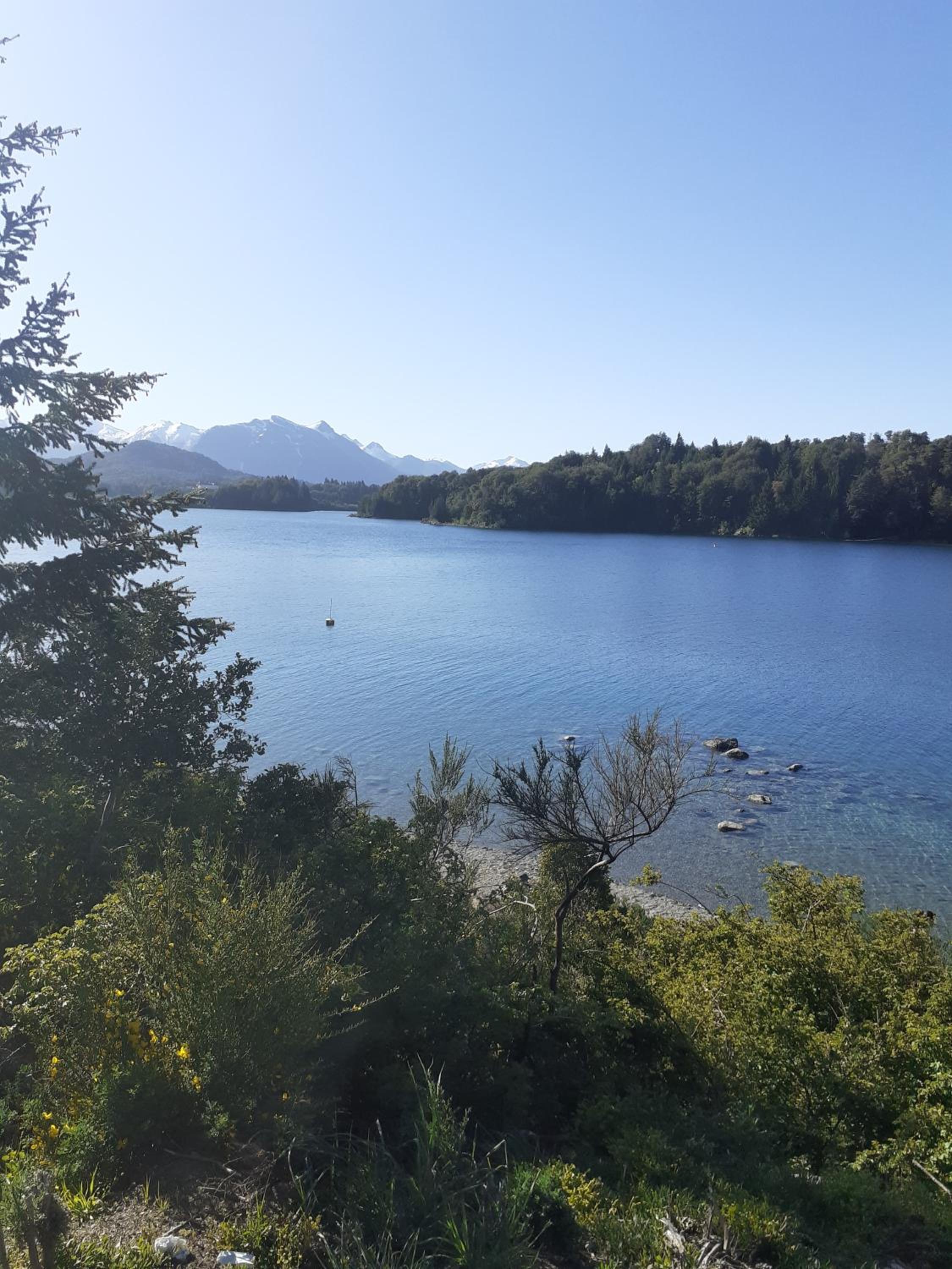Amancay entre Lagos & Bosques