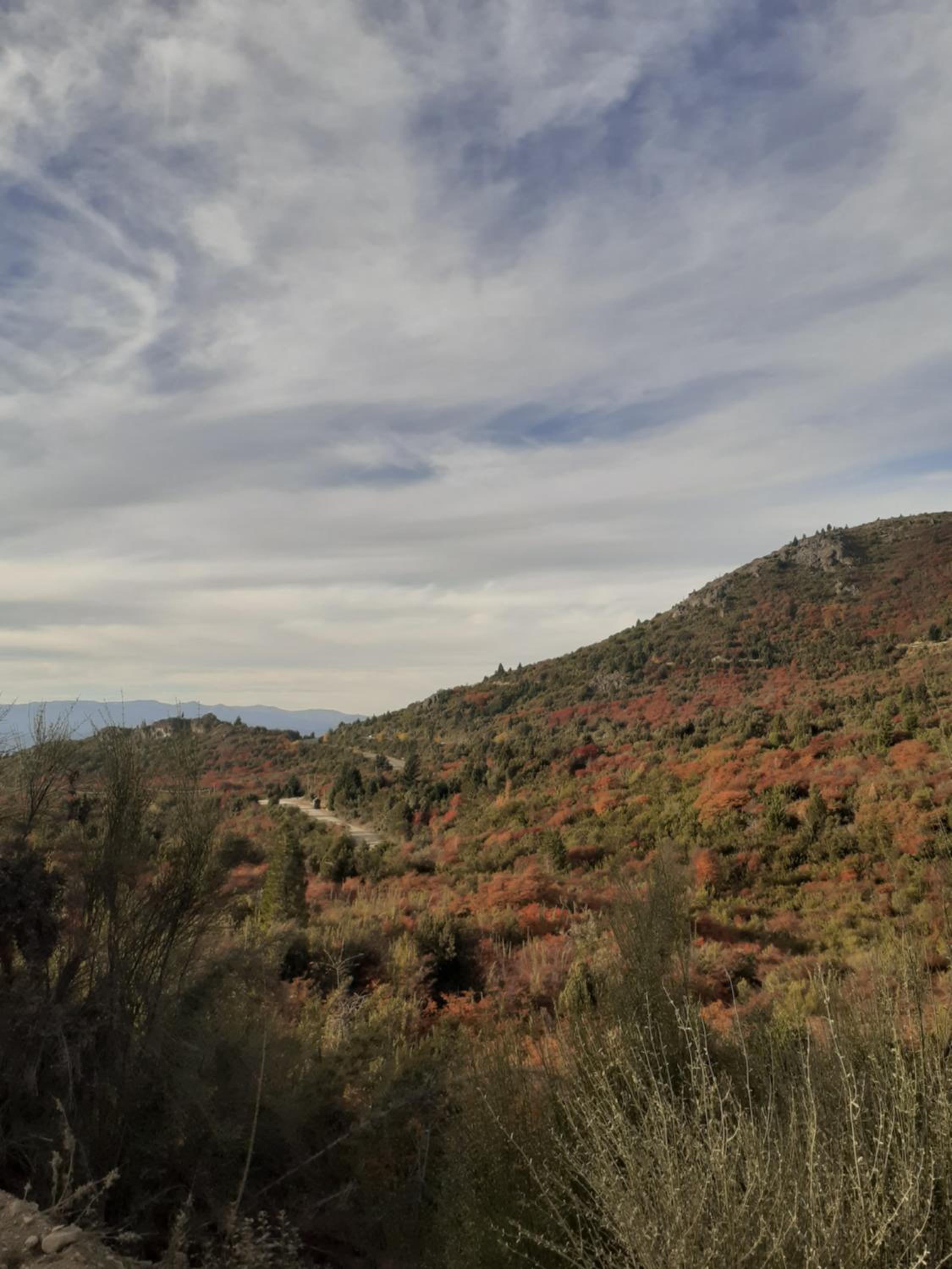 Amancay entre Lagos & Bosques