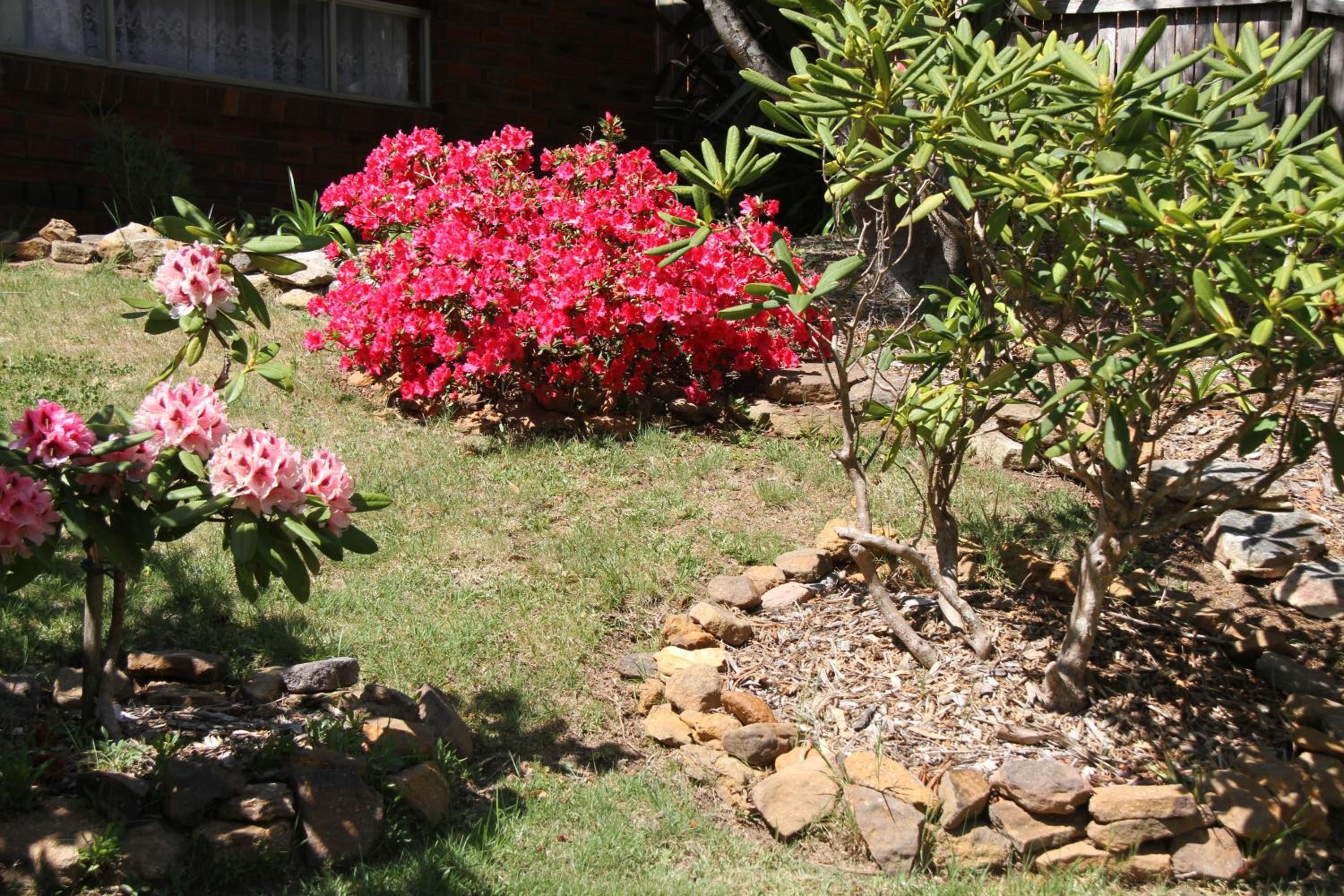 Azalea Cottage, Leura NSW Australia