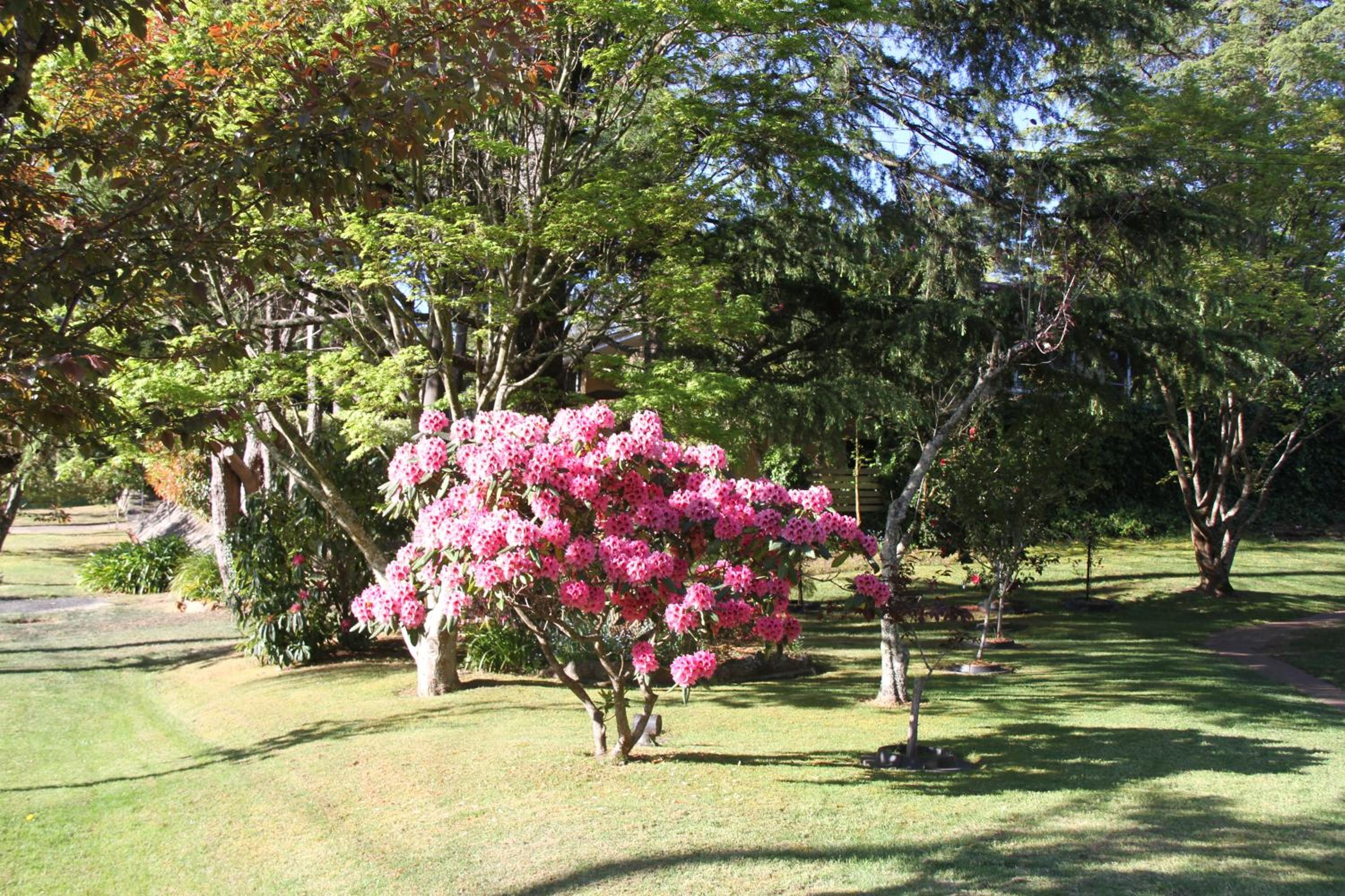 Azalea Cottage, Leura NSW Australia