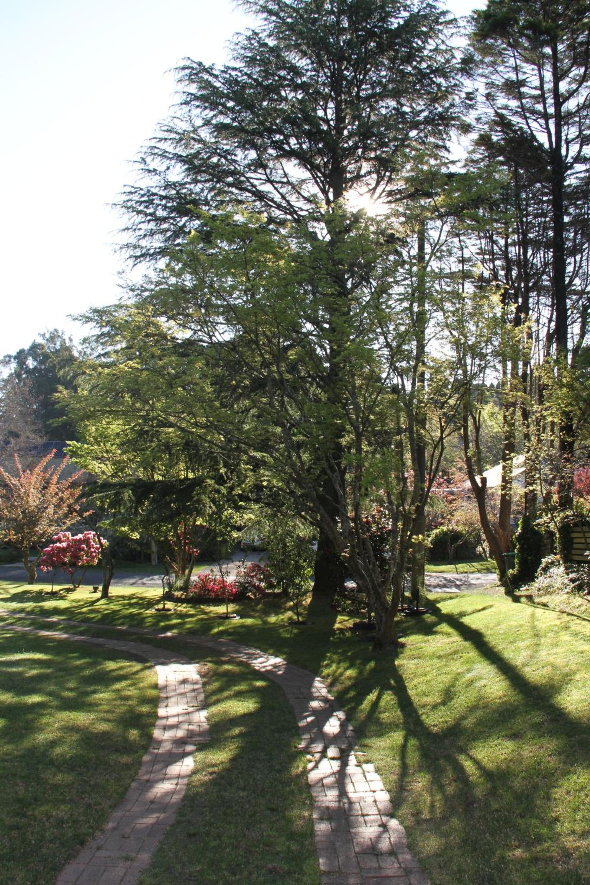 Azalea Cottage, Leura NSW Australia