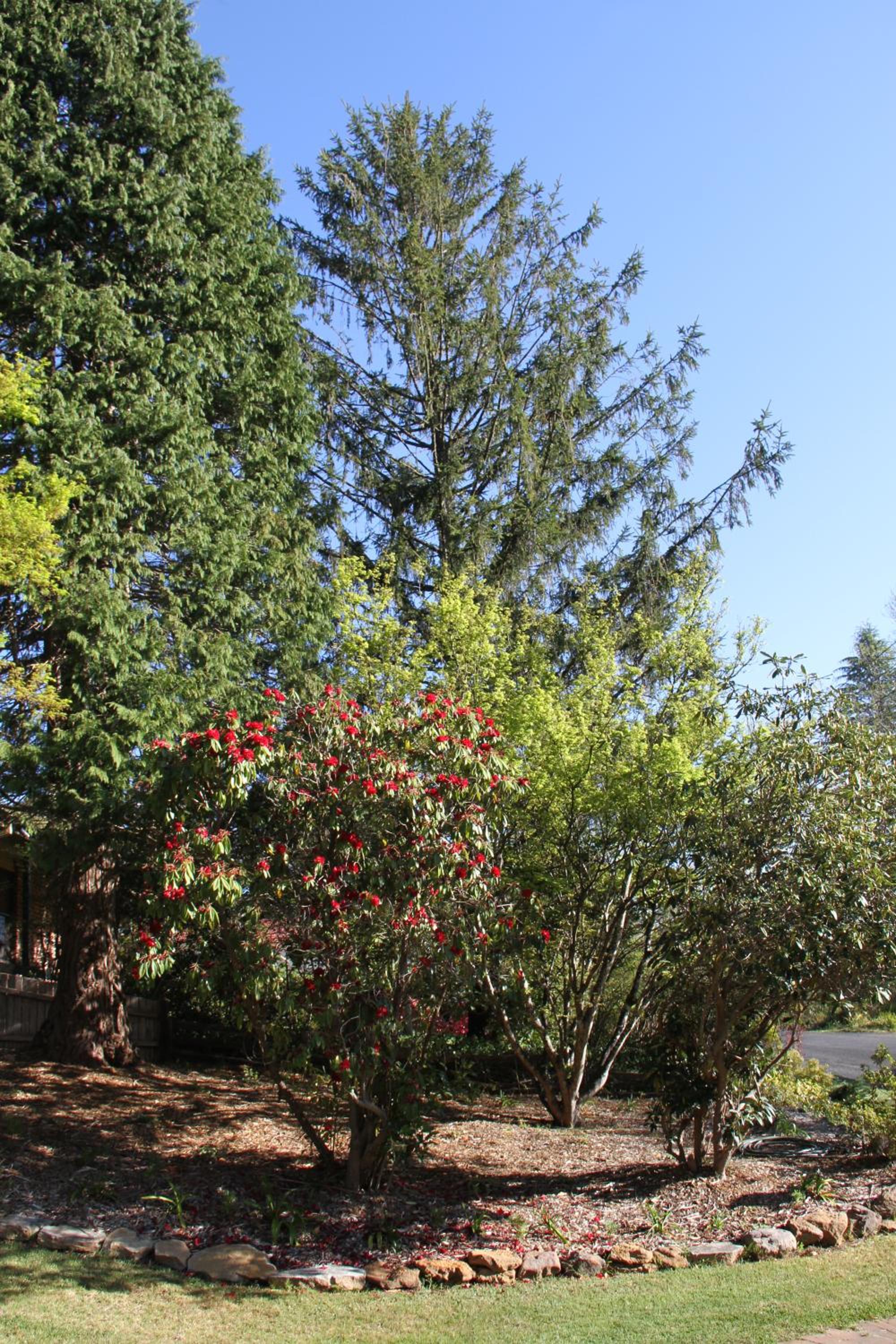 Azalea Cottage, Leura NSW Australia