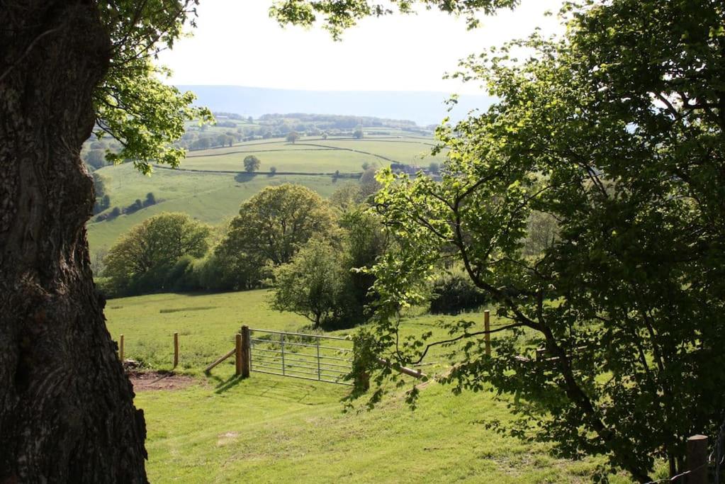 Up on a Hill Farmhouse, Ewyas Harold view 2