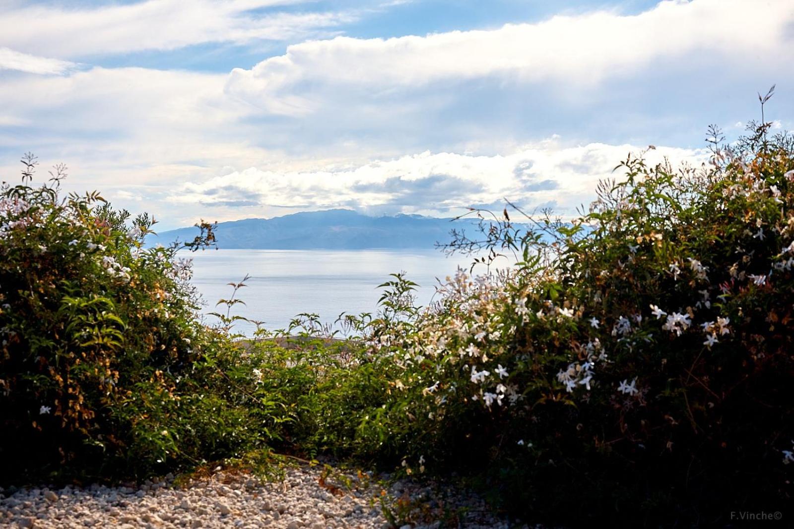 Finca el Vinche view 5