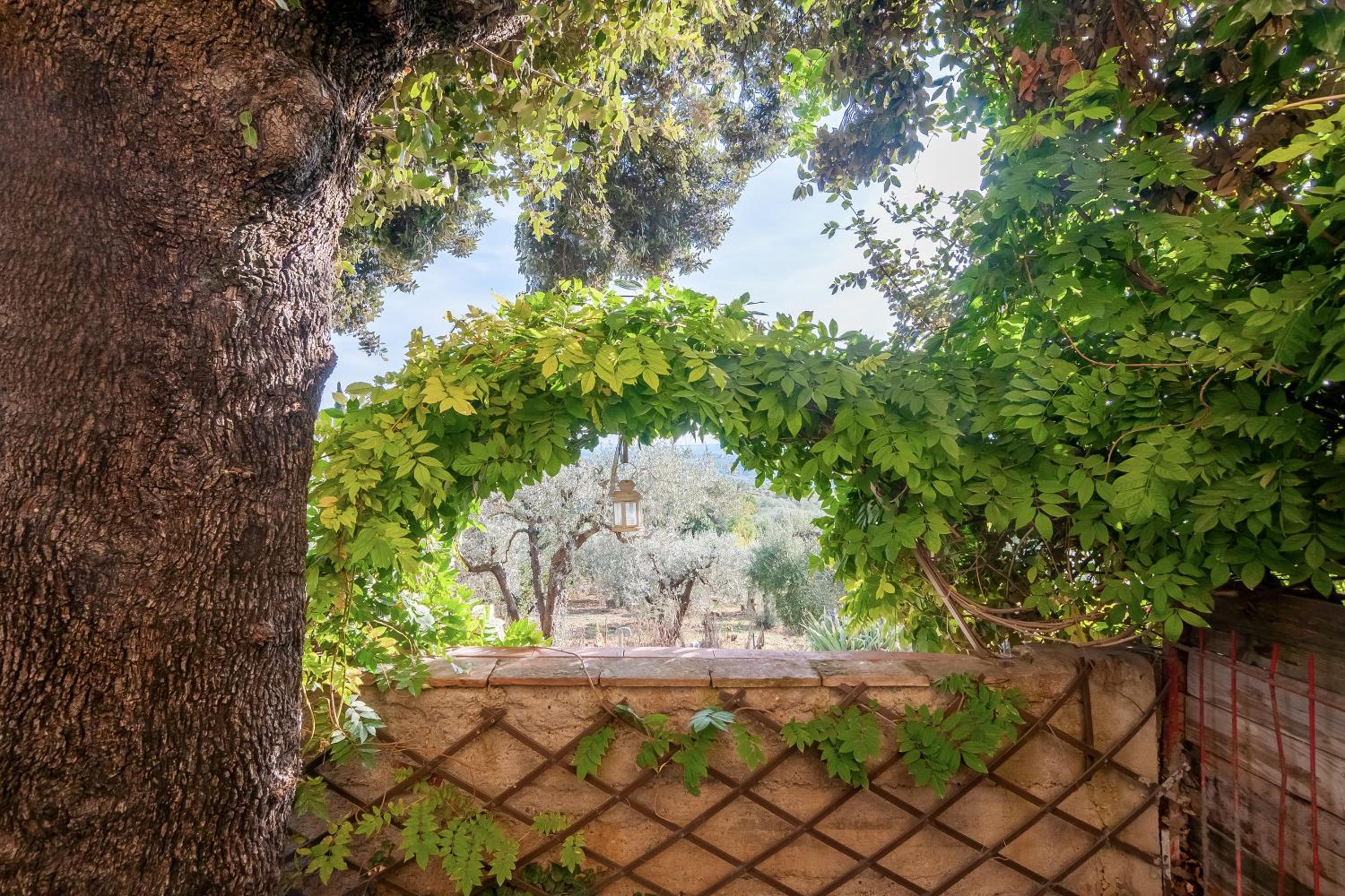 Il Piccolo Borgo photo 5