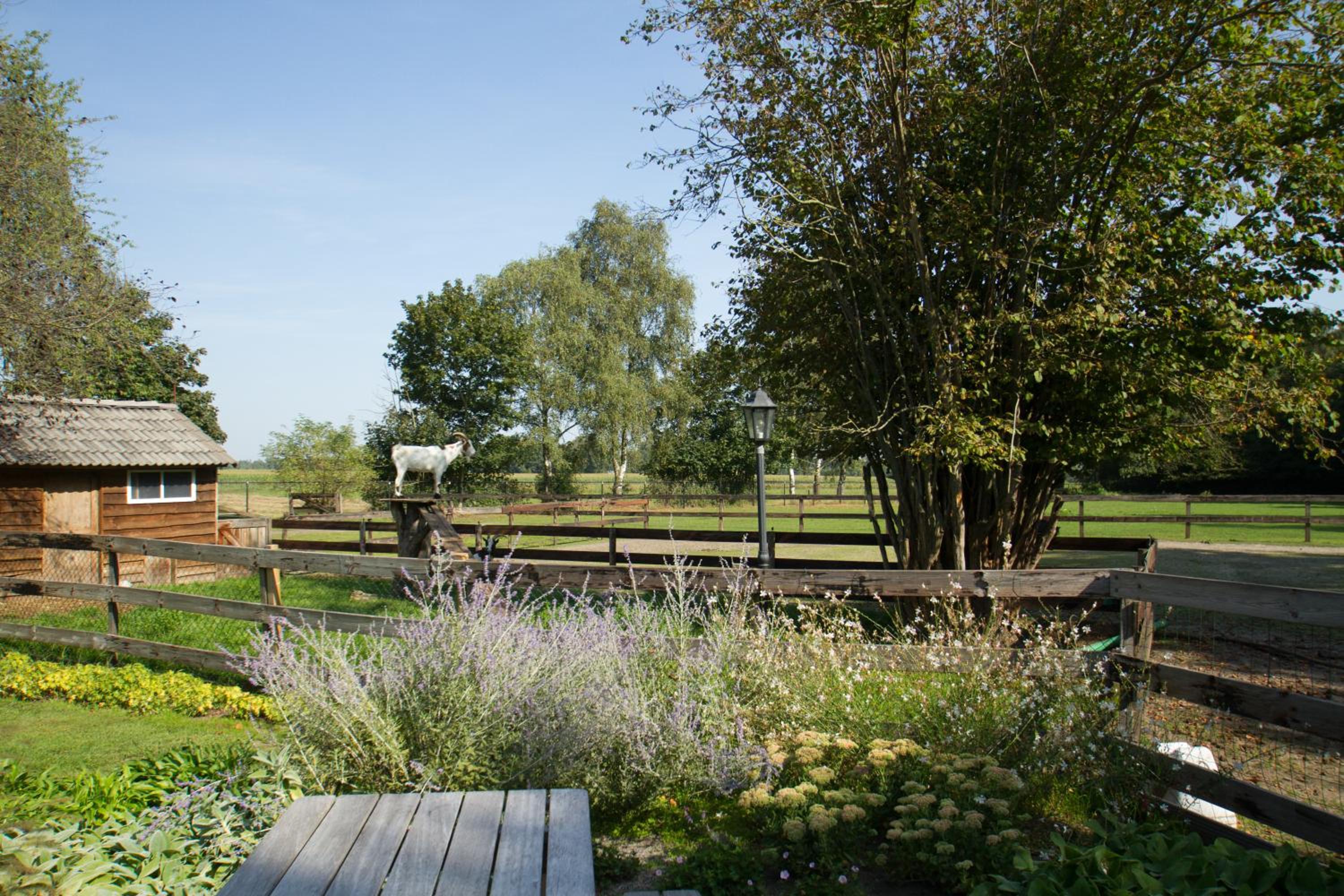Het Rooversnest
