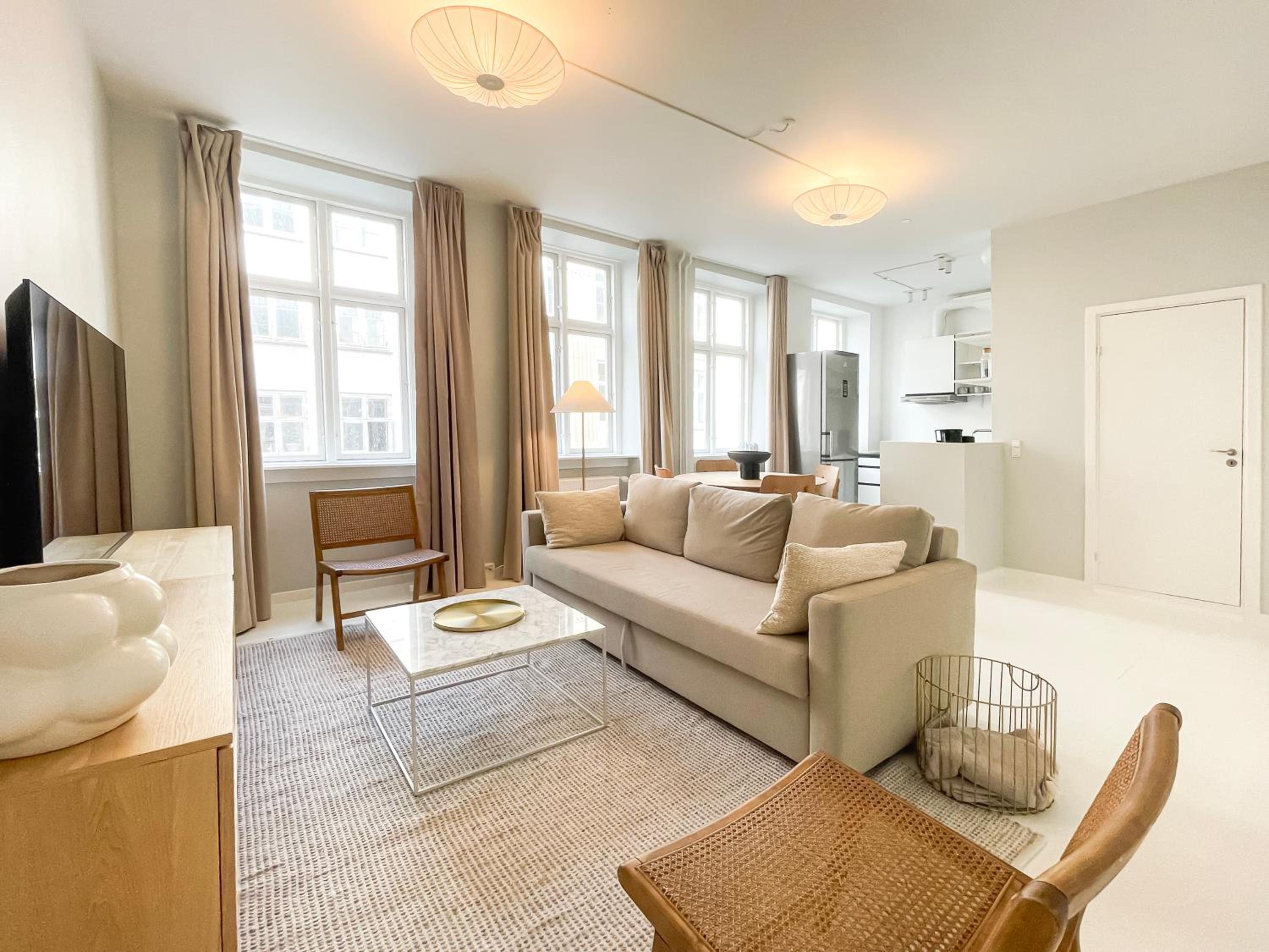 Beautiful One-Bedroom Apartment in CPH City