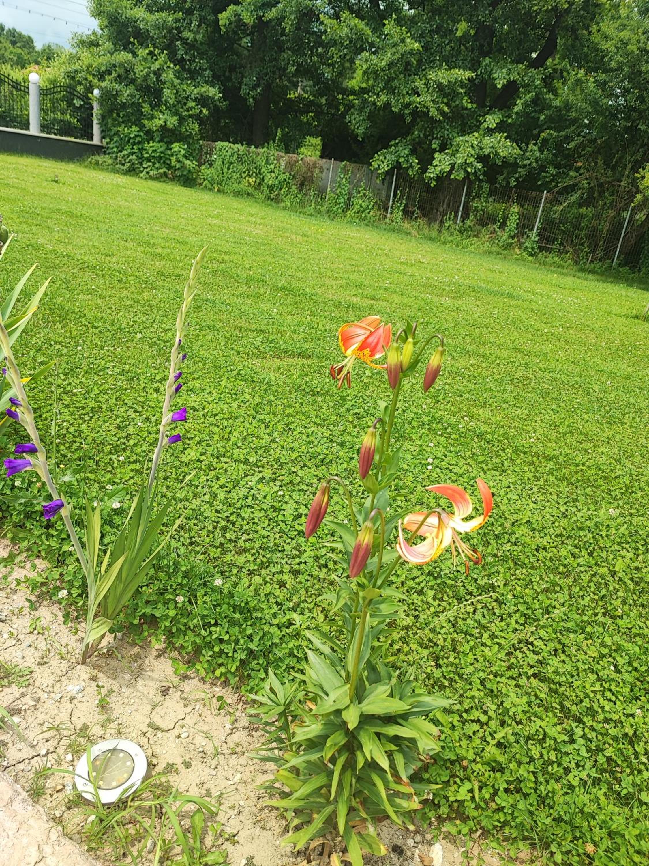 Photo 32
