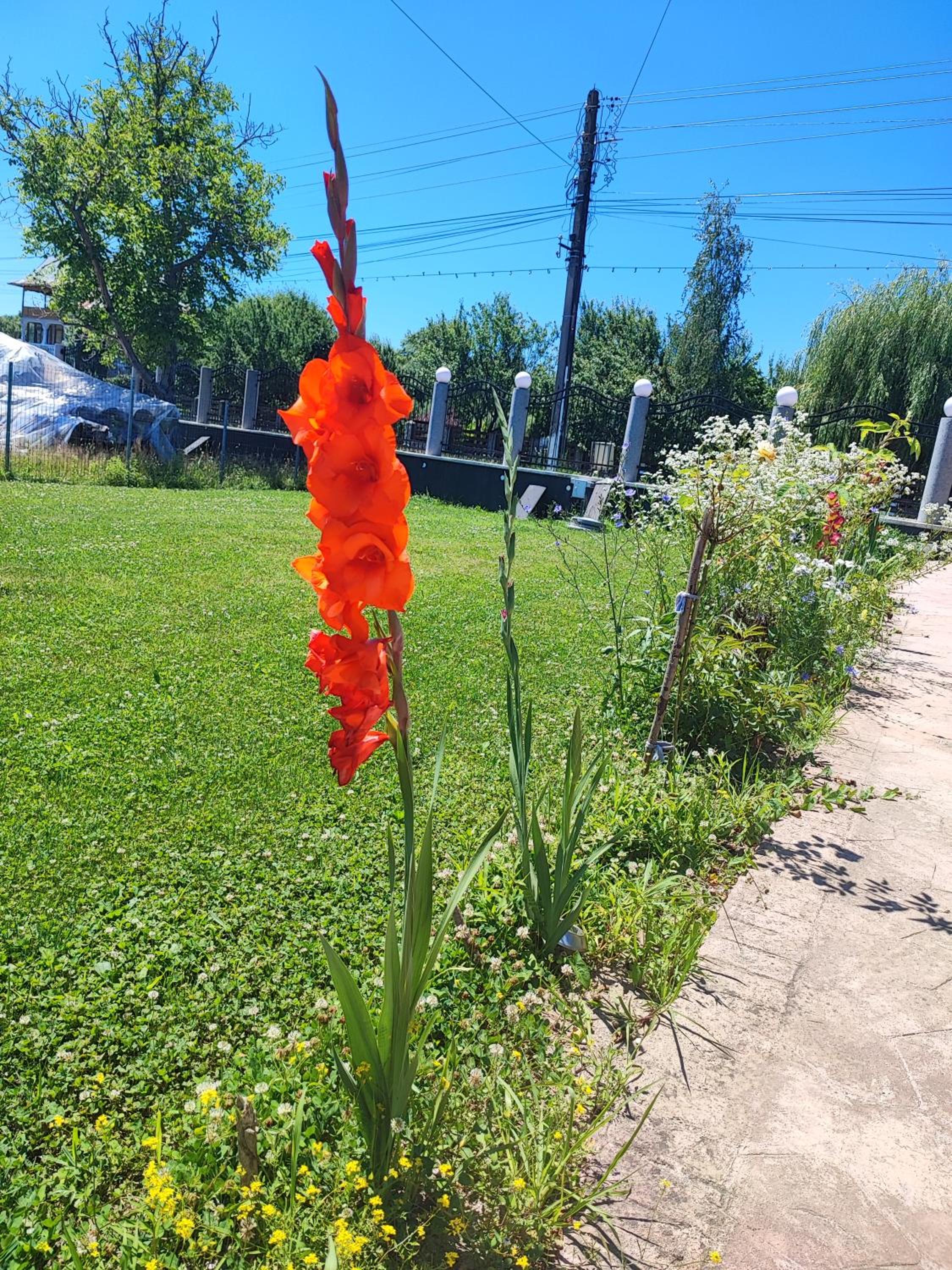 Photo 33