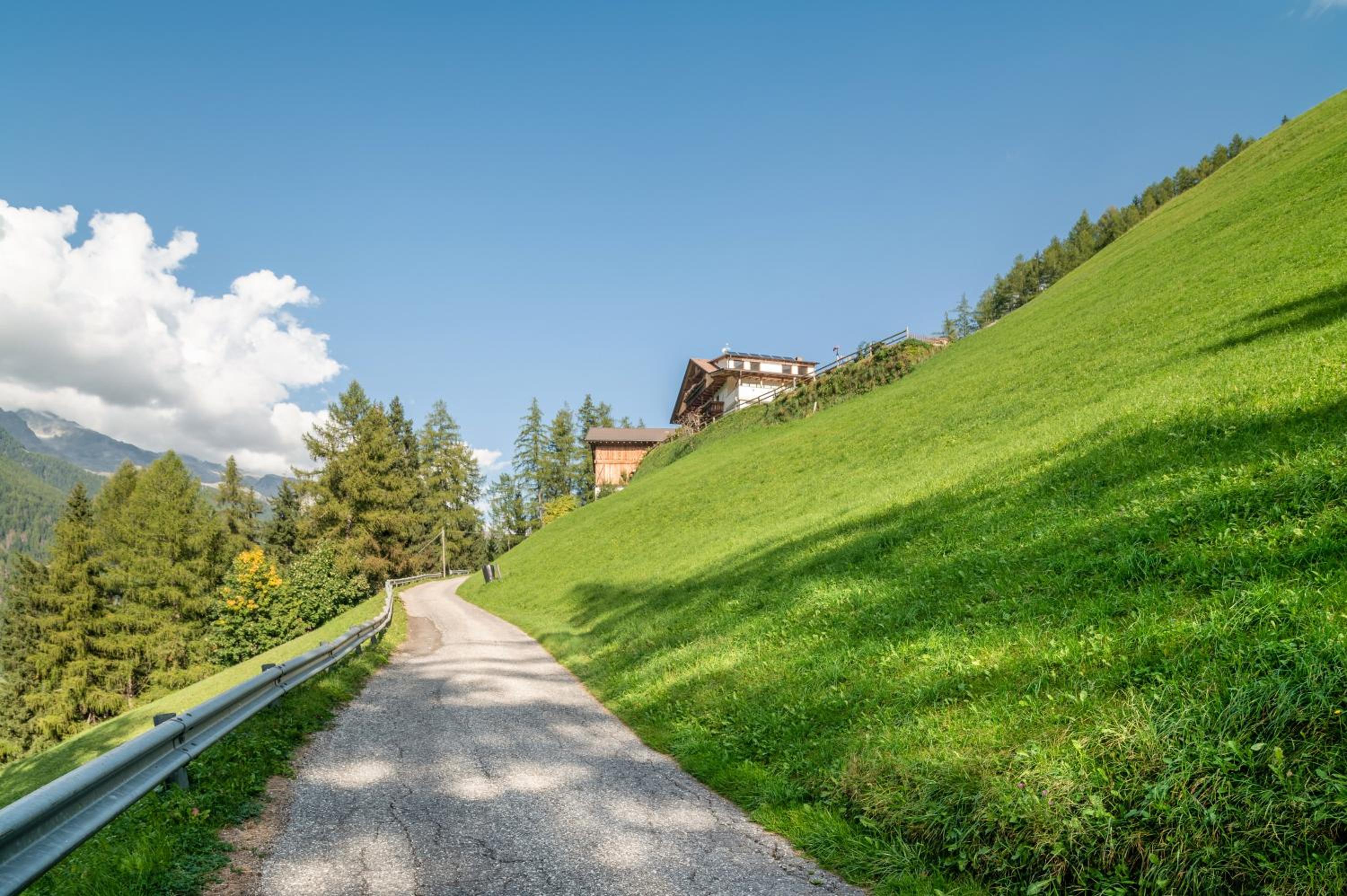 Glocklechnhof Sternenhimmel