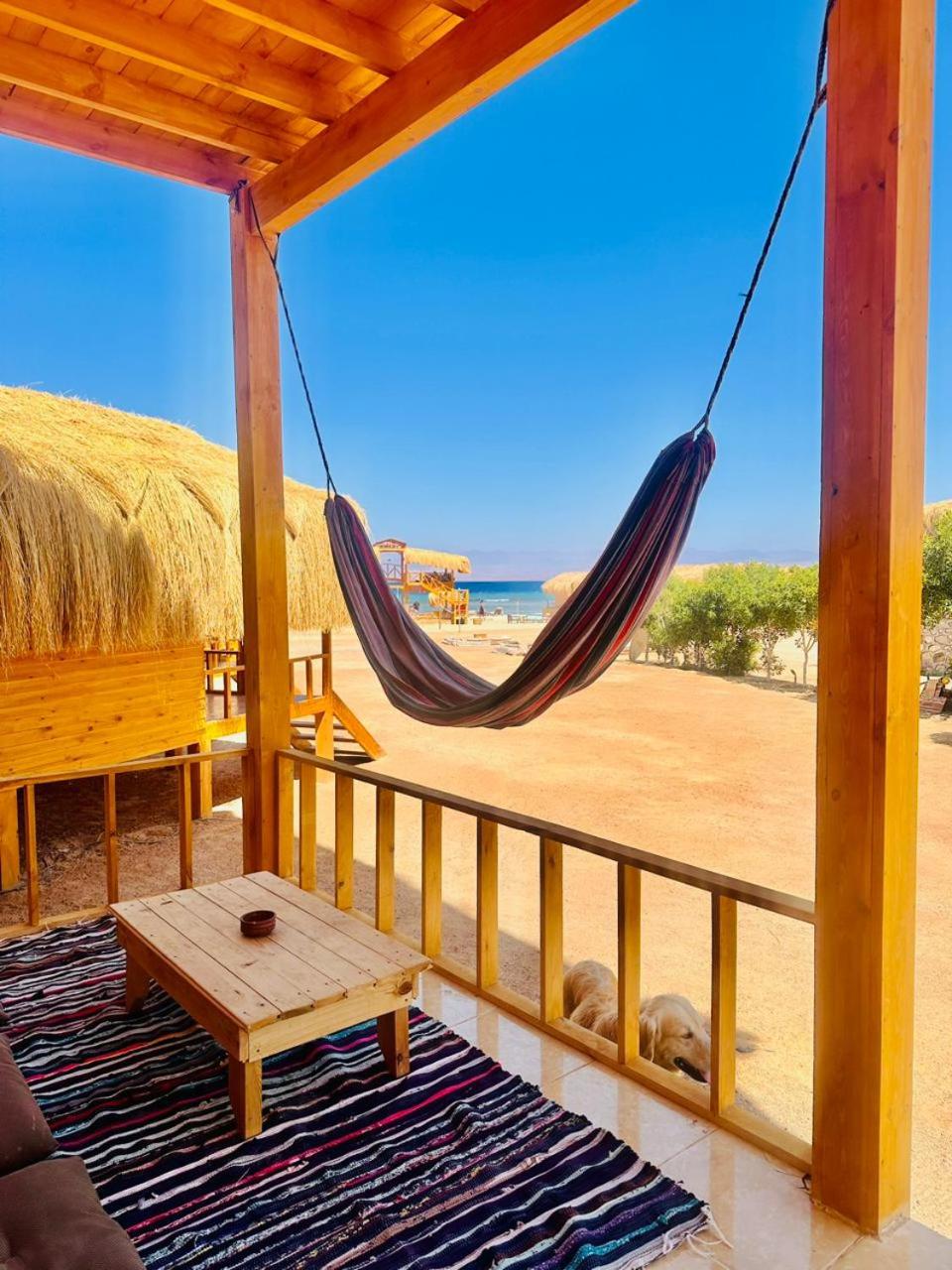 Magic land taba camp
