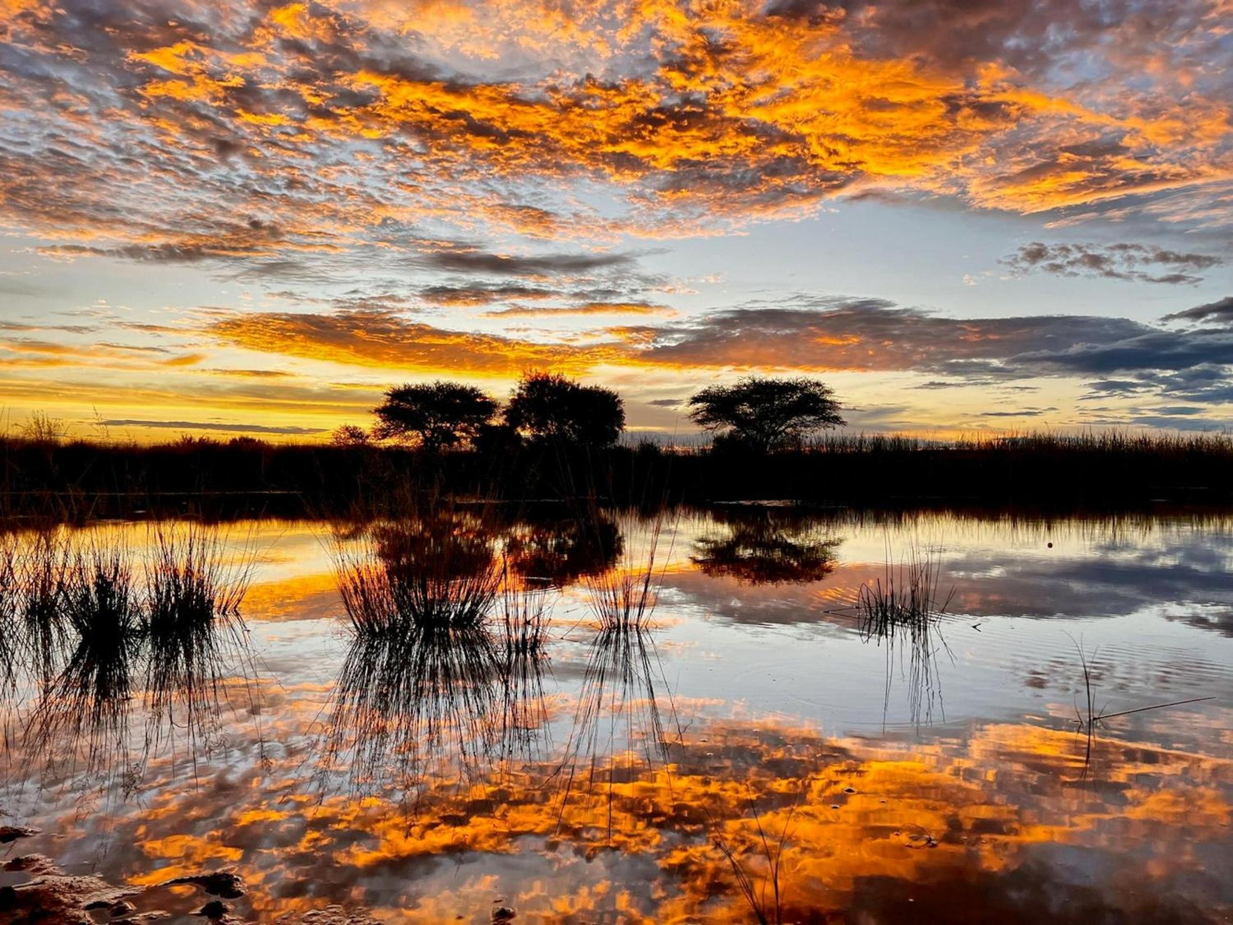 Natshana Private Game Reserve