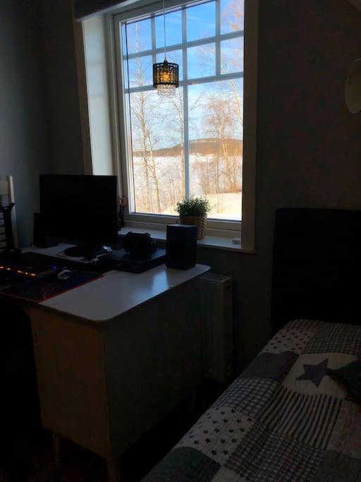 Photo 41