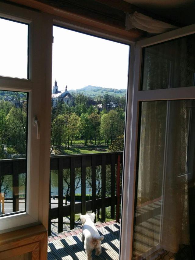 Photo 21