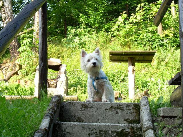 Photo 23