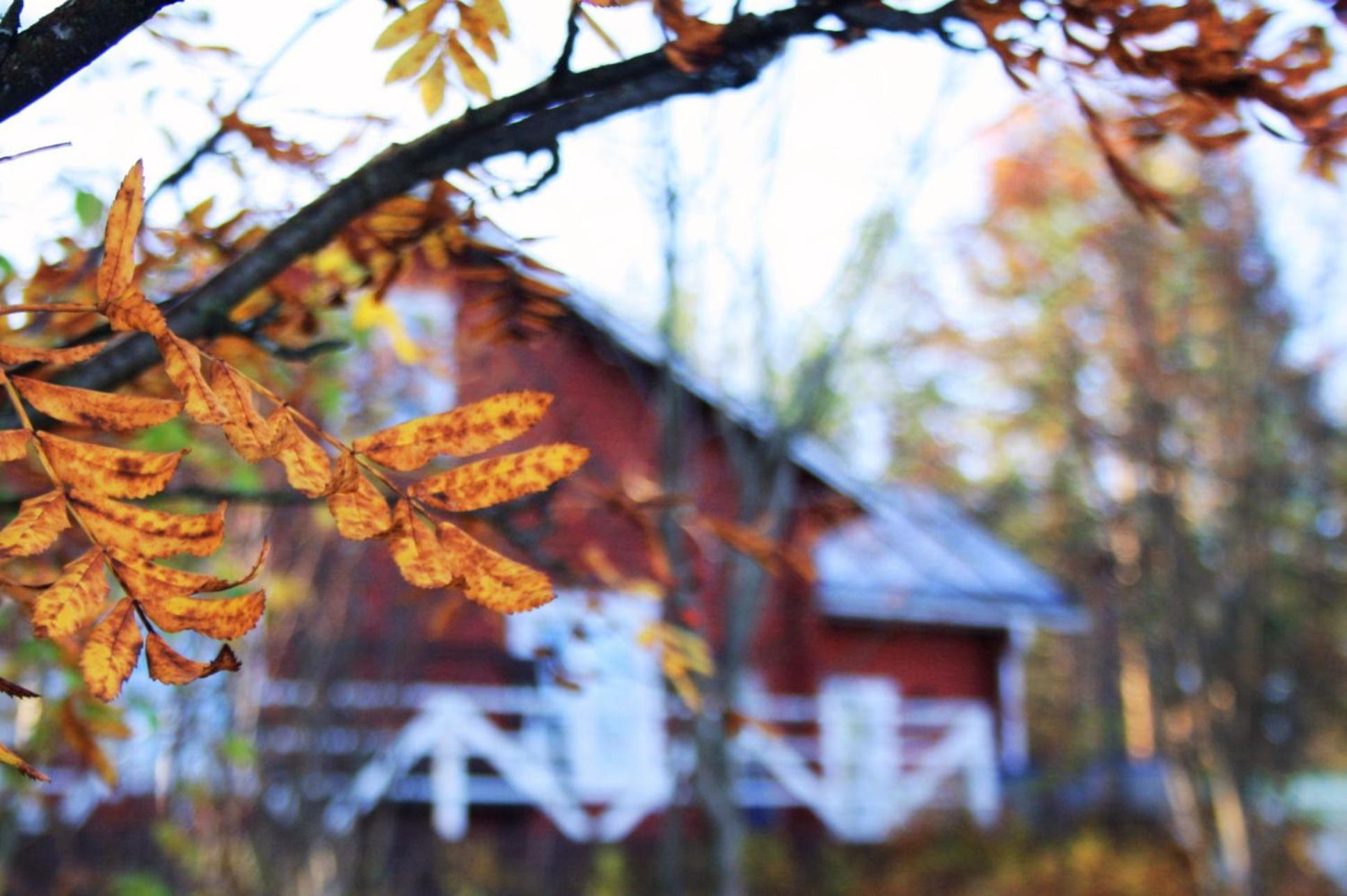 Kotatuli Forest Lodge