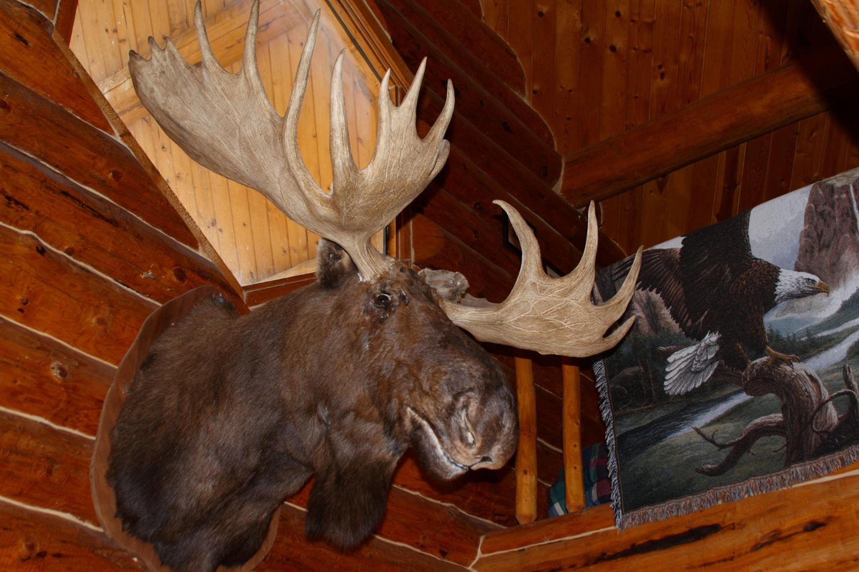 Wise Old Hunter Lodge - Property Image 11