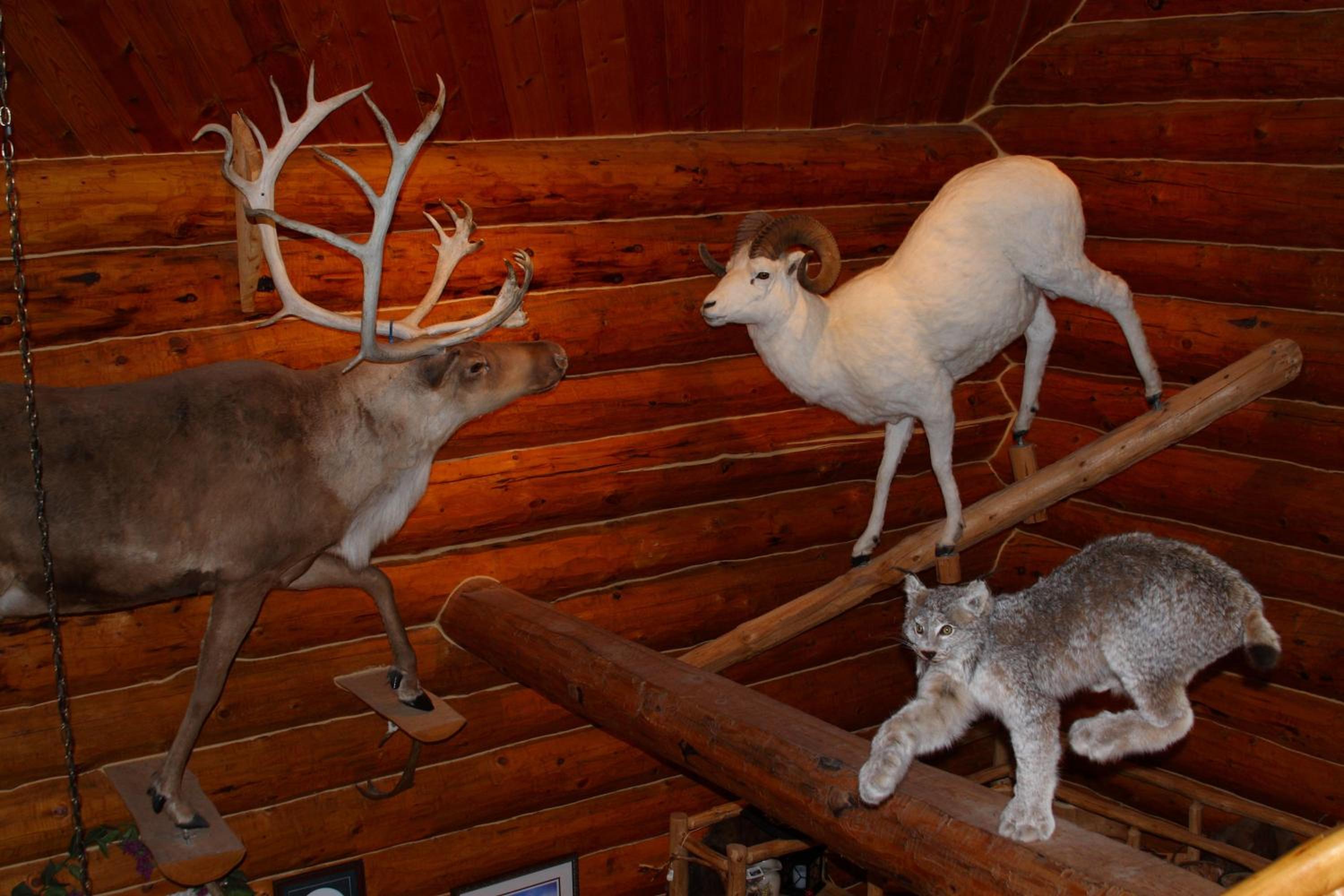 Wise Old Hunter Lodge - Property Image 32