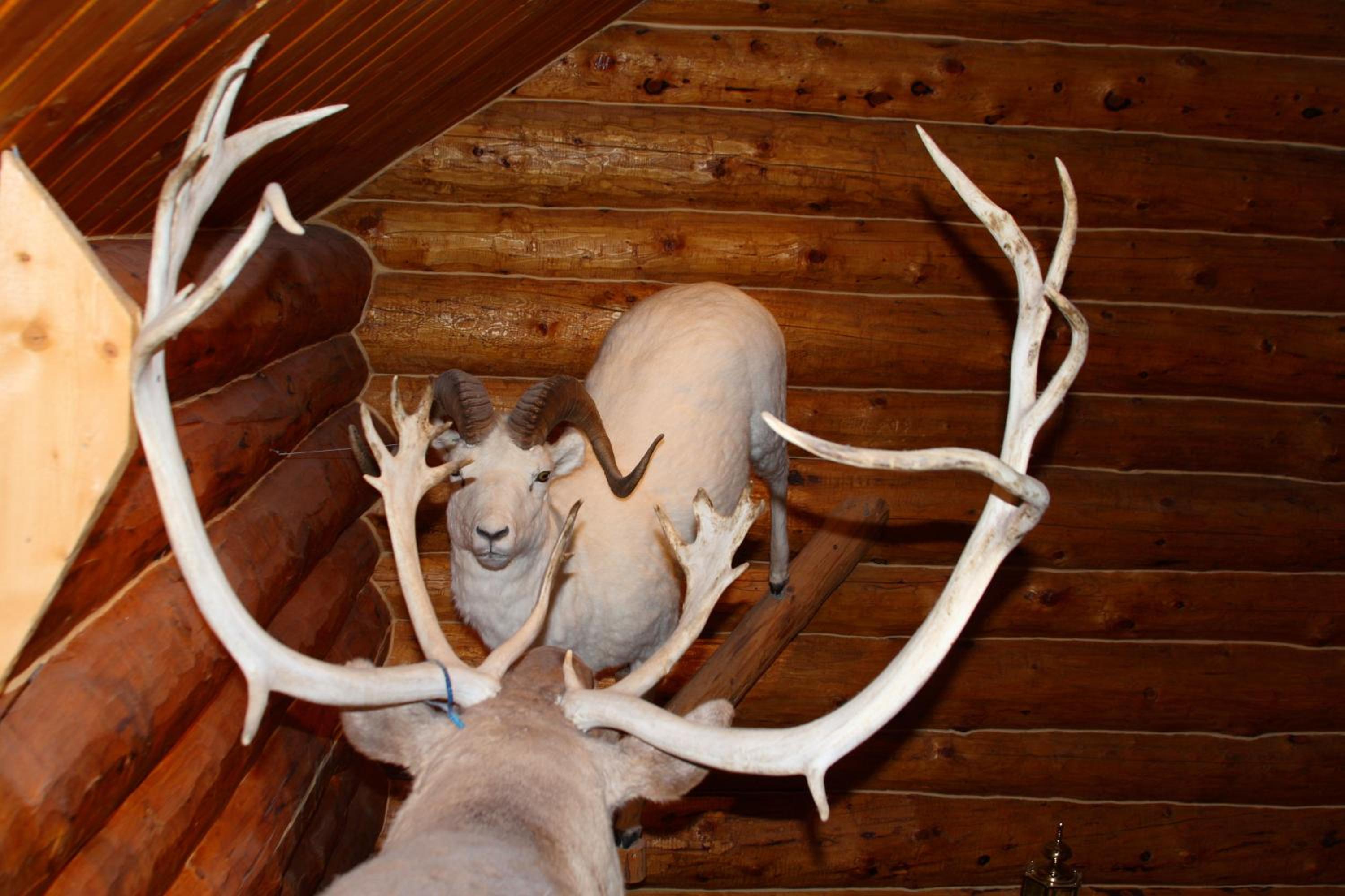 Wise Old Hunter Lodge - Property Image 10