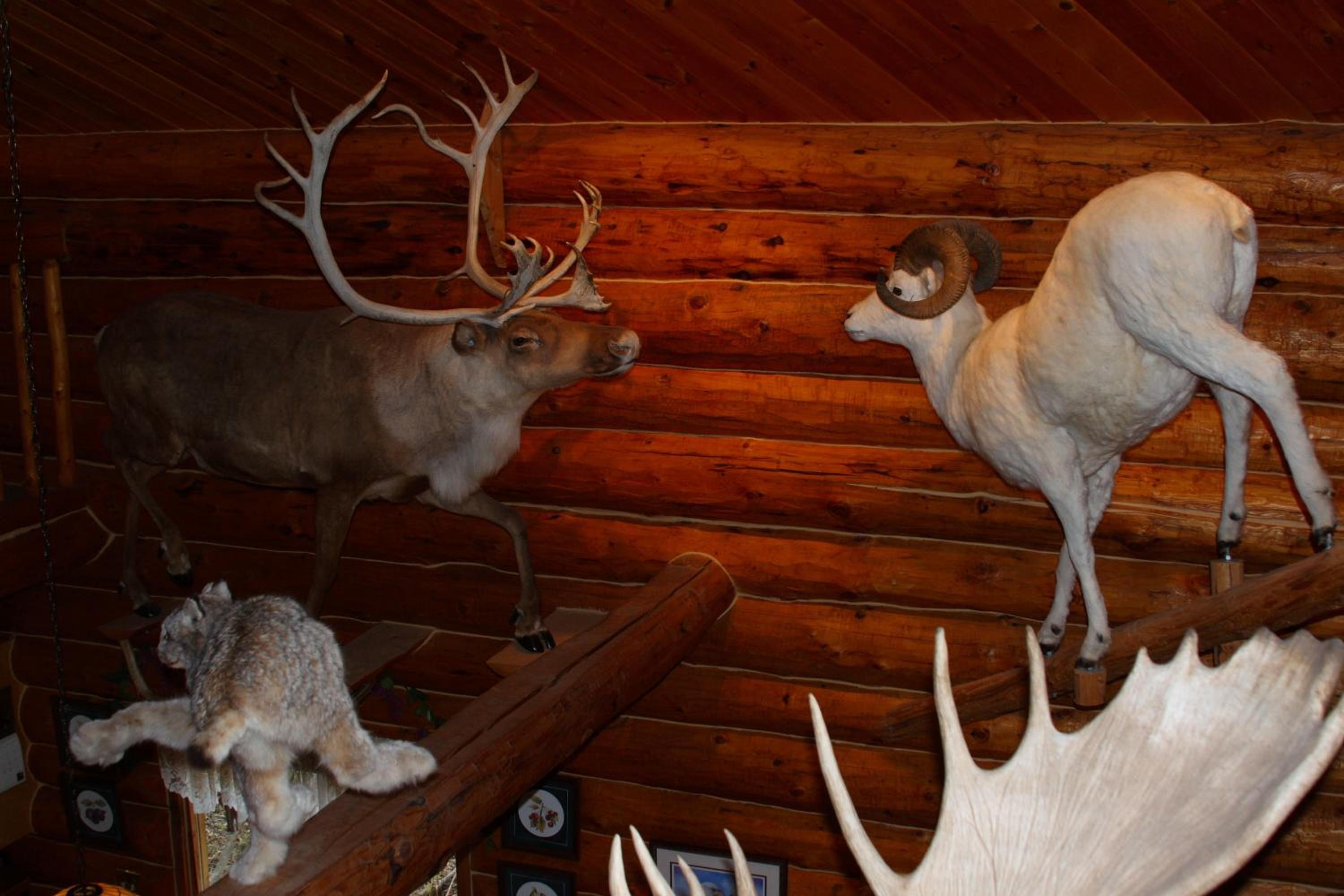 Wise Old Hunter Lodge - Property Image 2