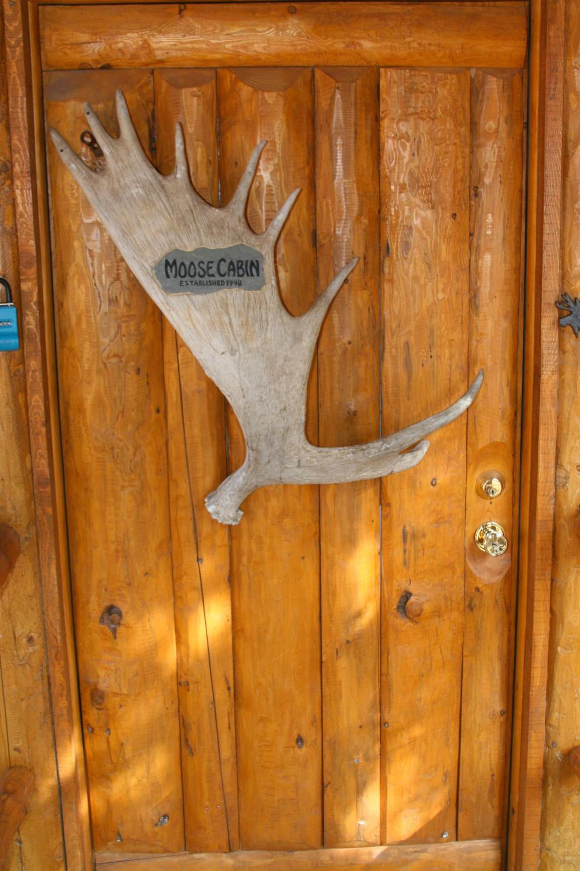 Moose Cabin view 3