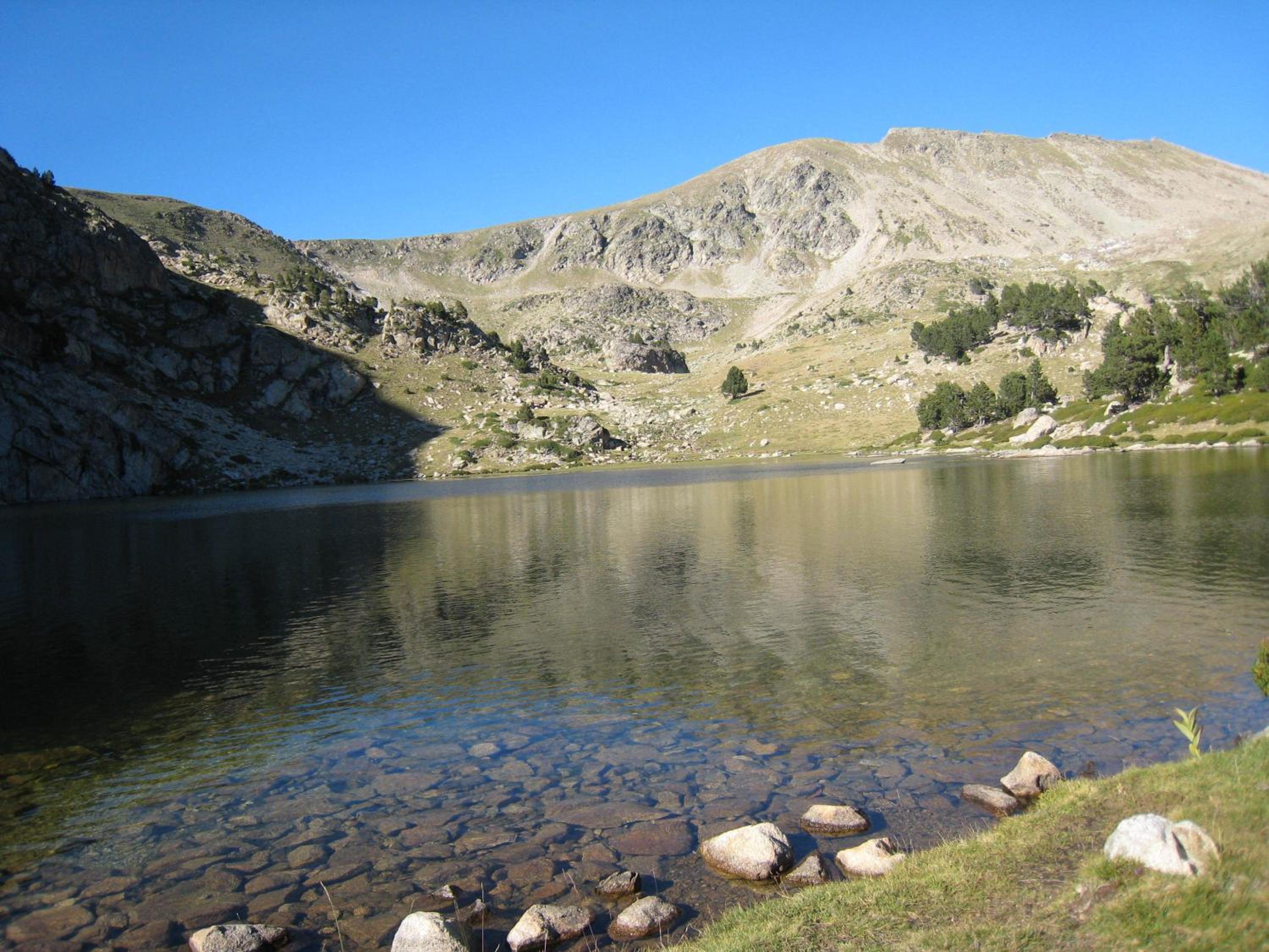 Photo 23