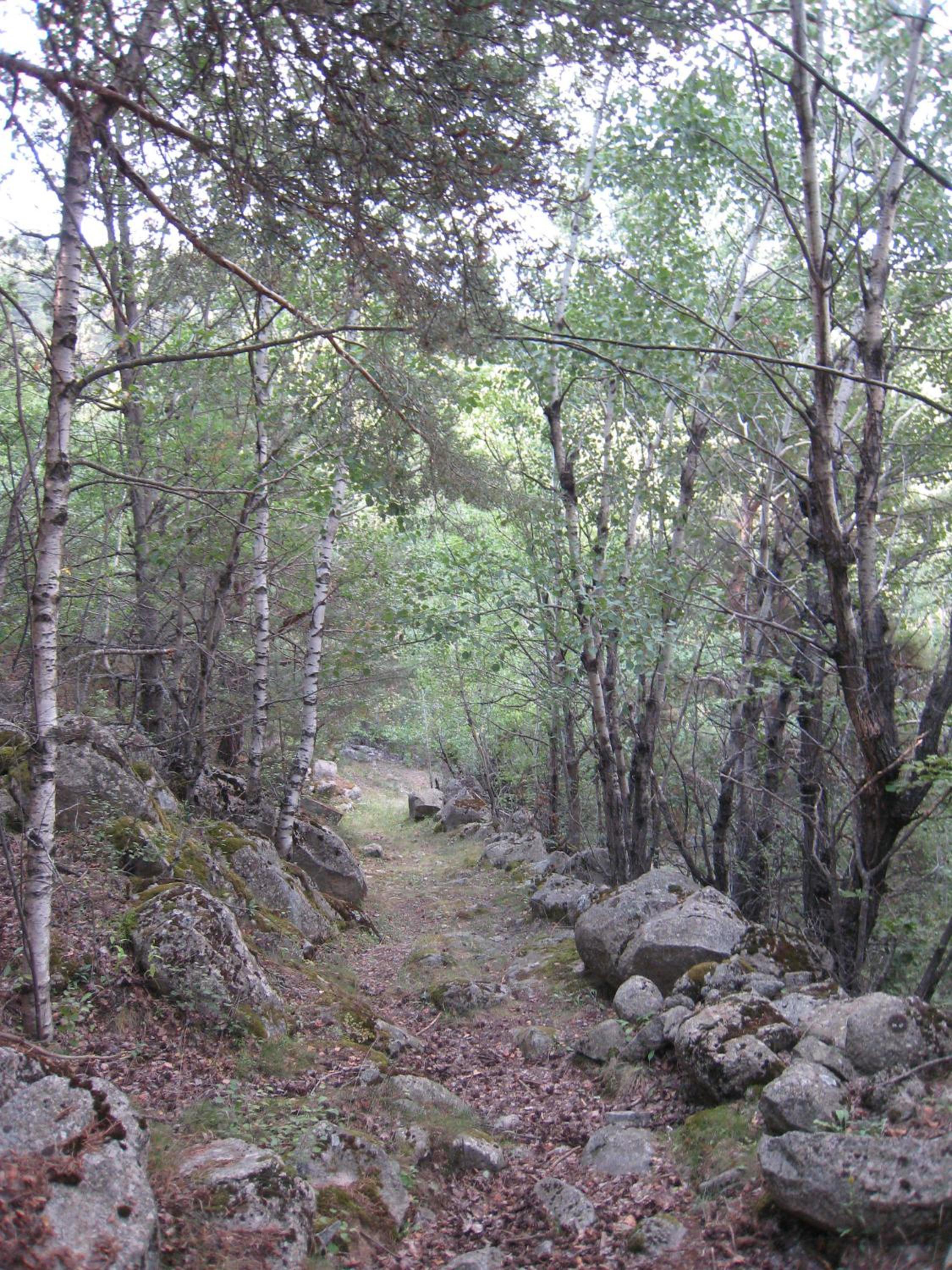 Photo 24