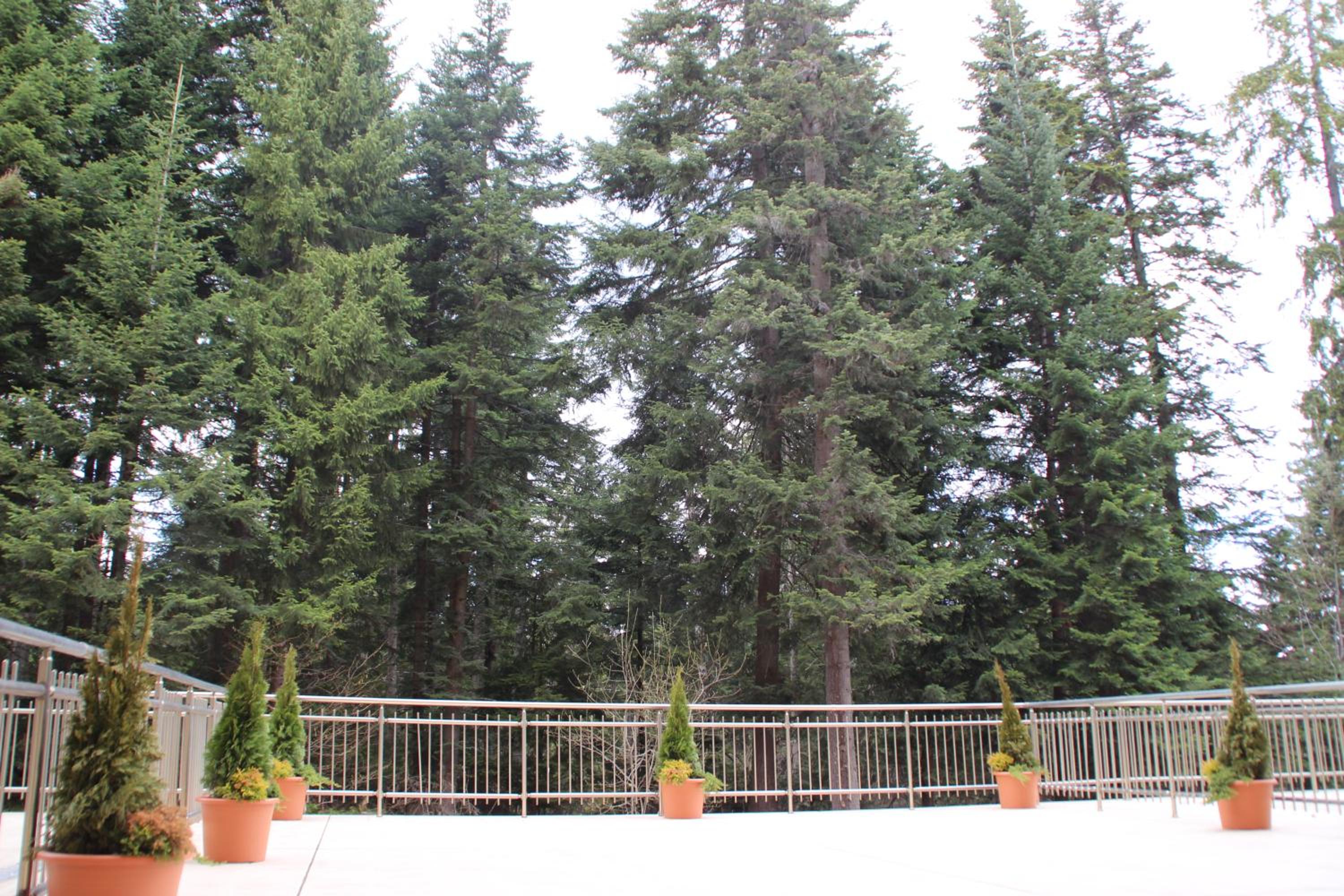 Stylish one bedroomed apartment 112 in main Flora building