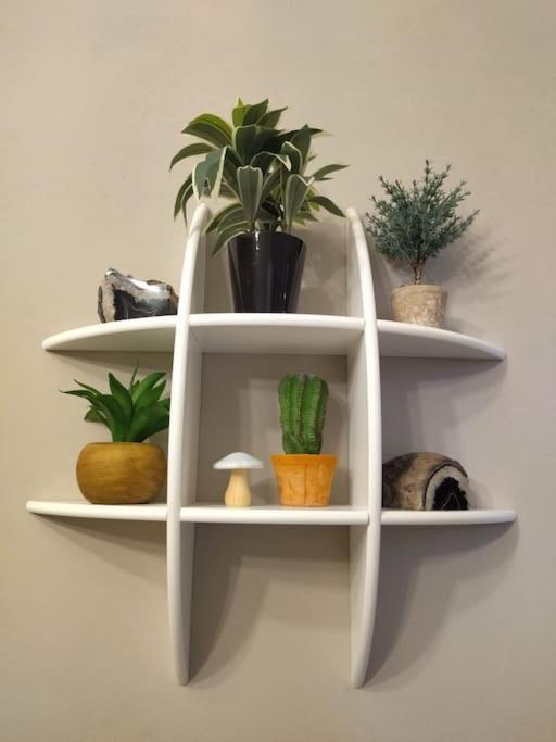 smart sarpi monolocale photo 2