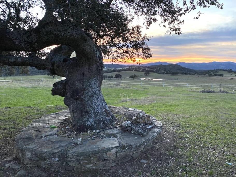 Finca La Alcolehuela